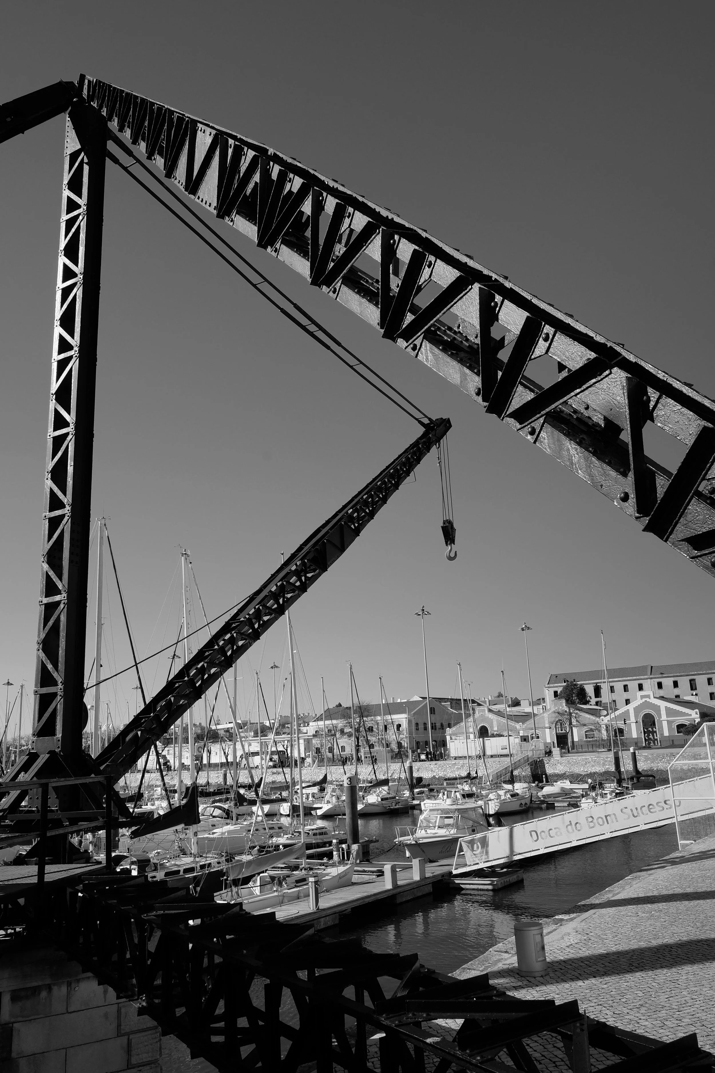 DSCF7851.JPG