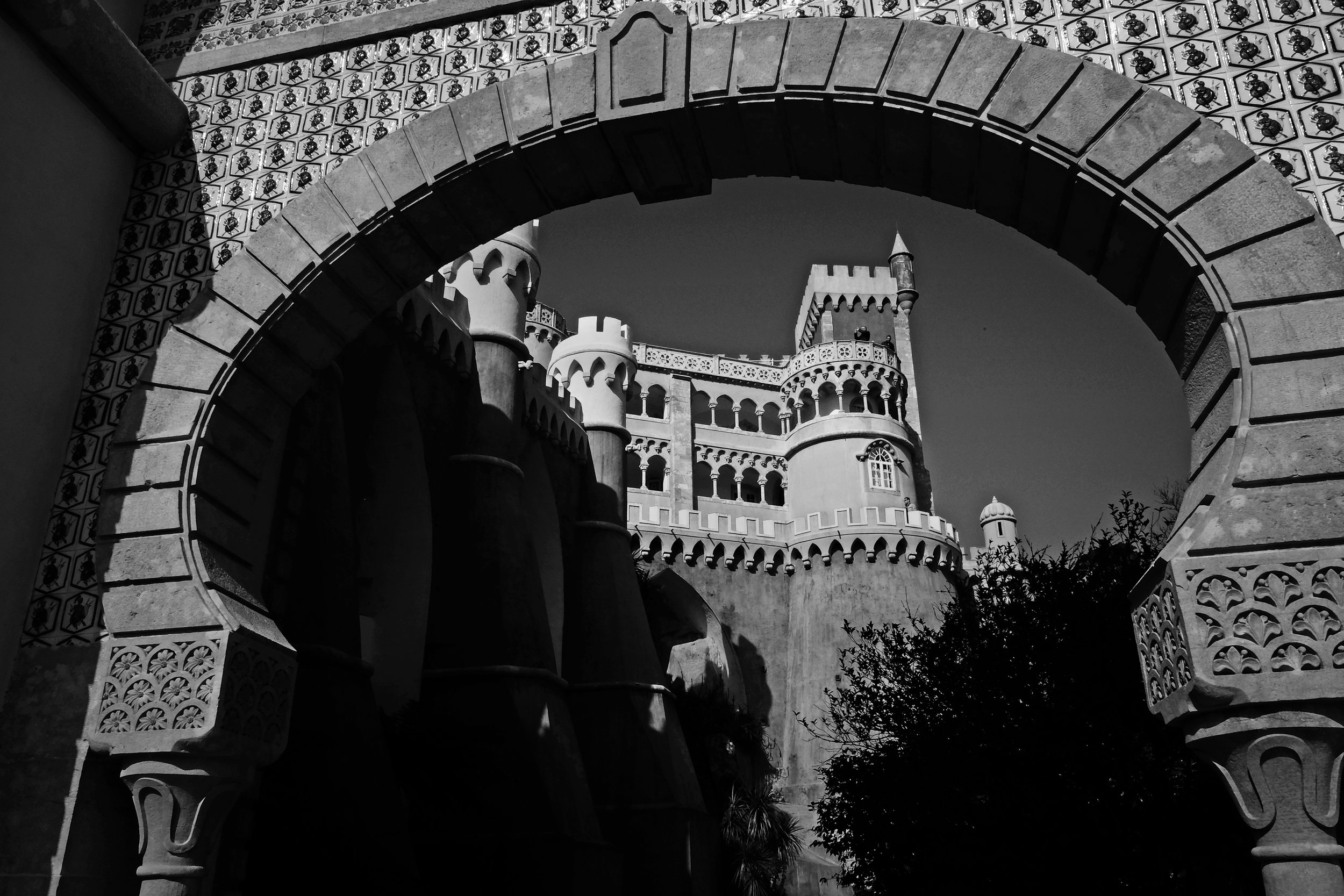 DSCF8079.JPG