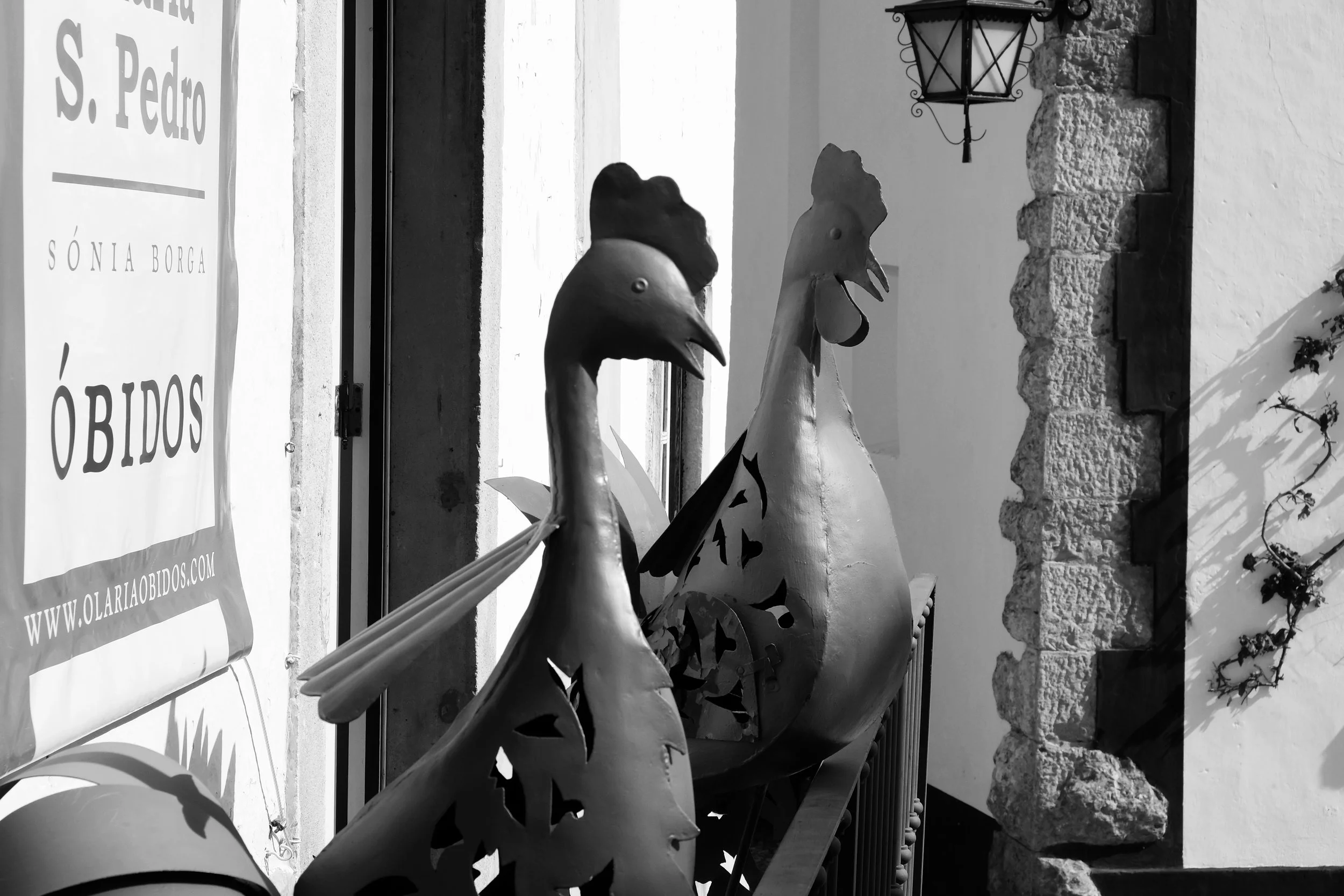 DSCF8147.JPG