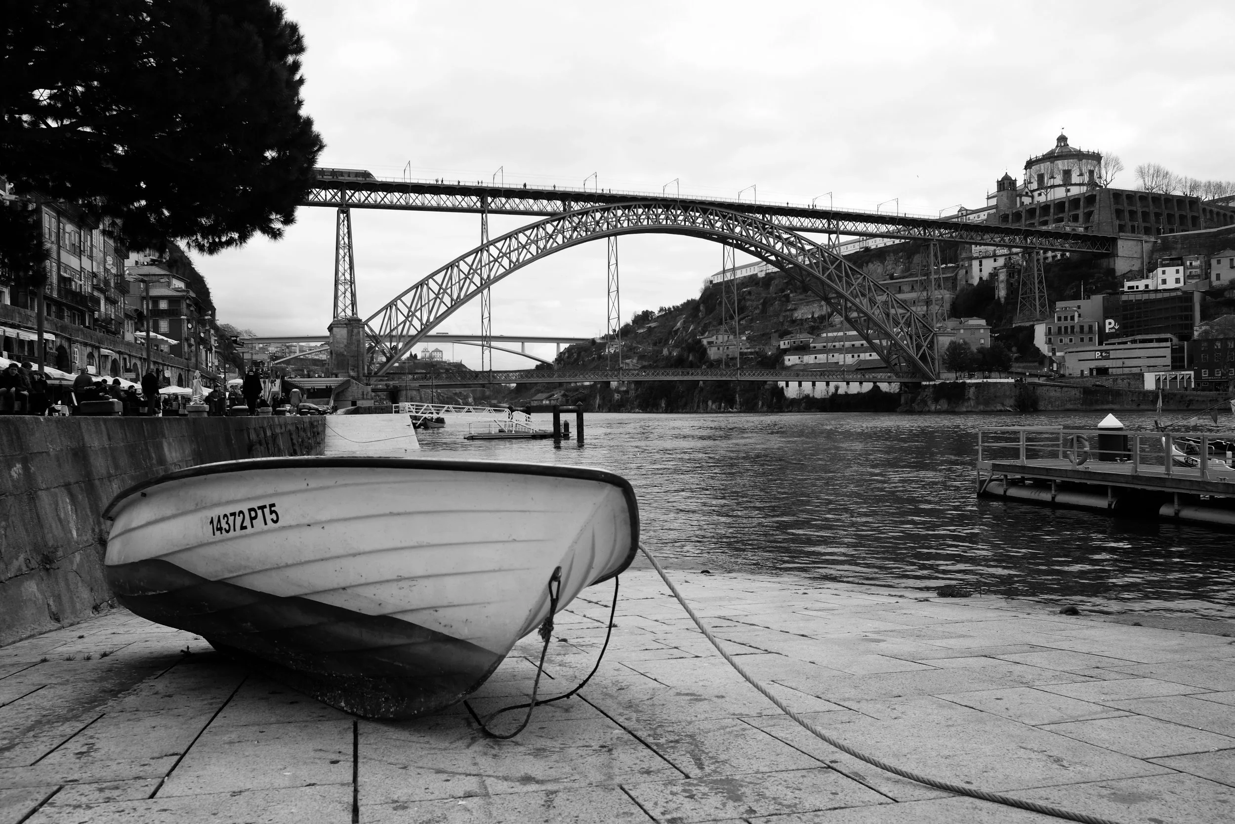 DSCF8237.JPG