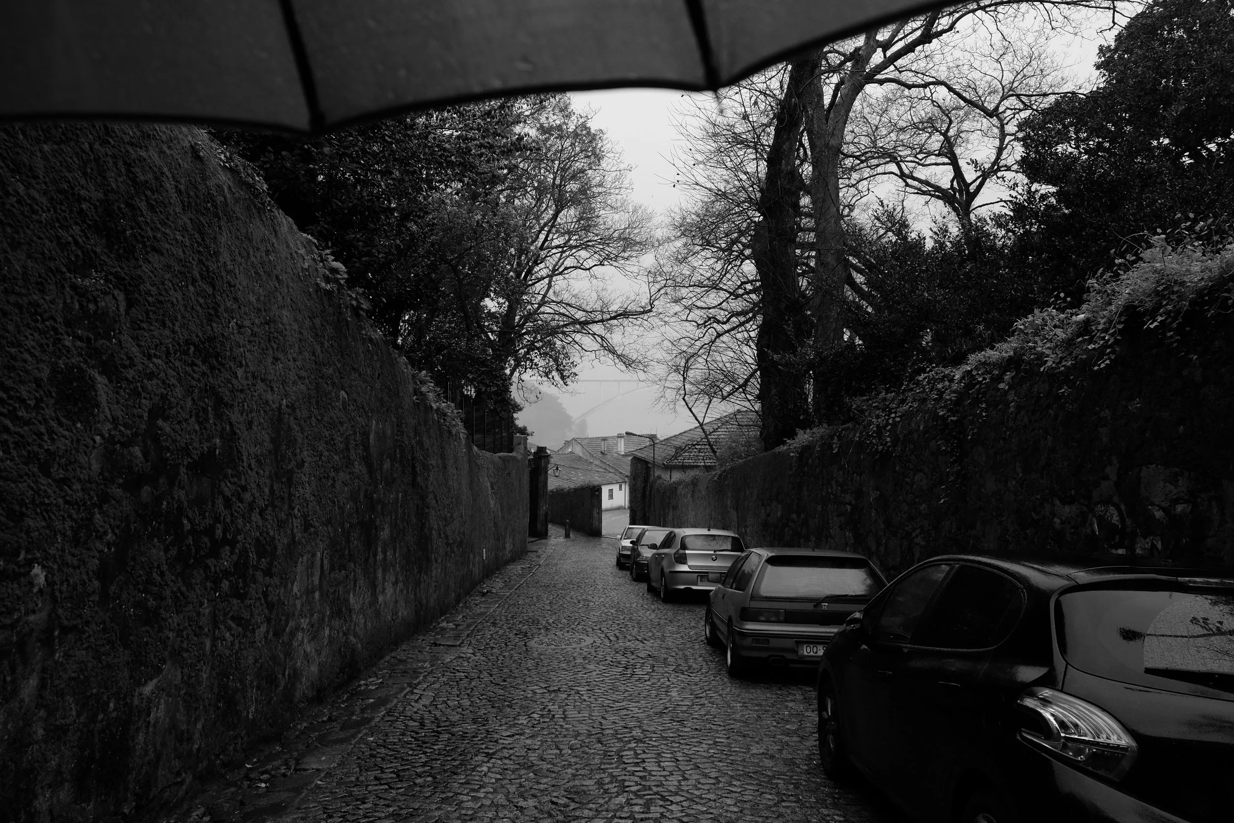 DSCF8279.JPG
