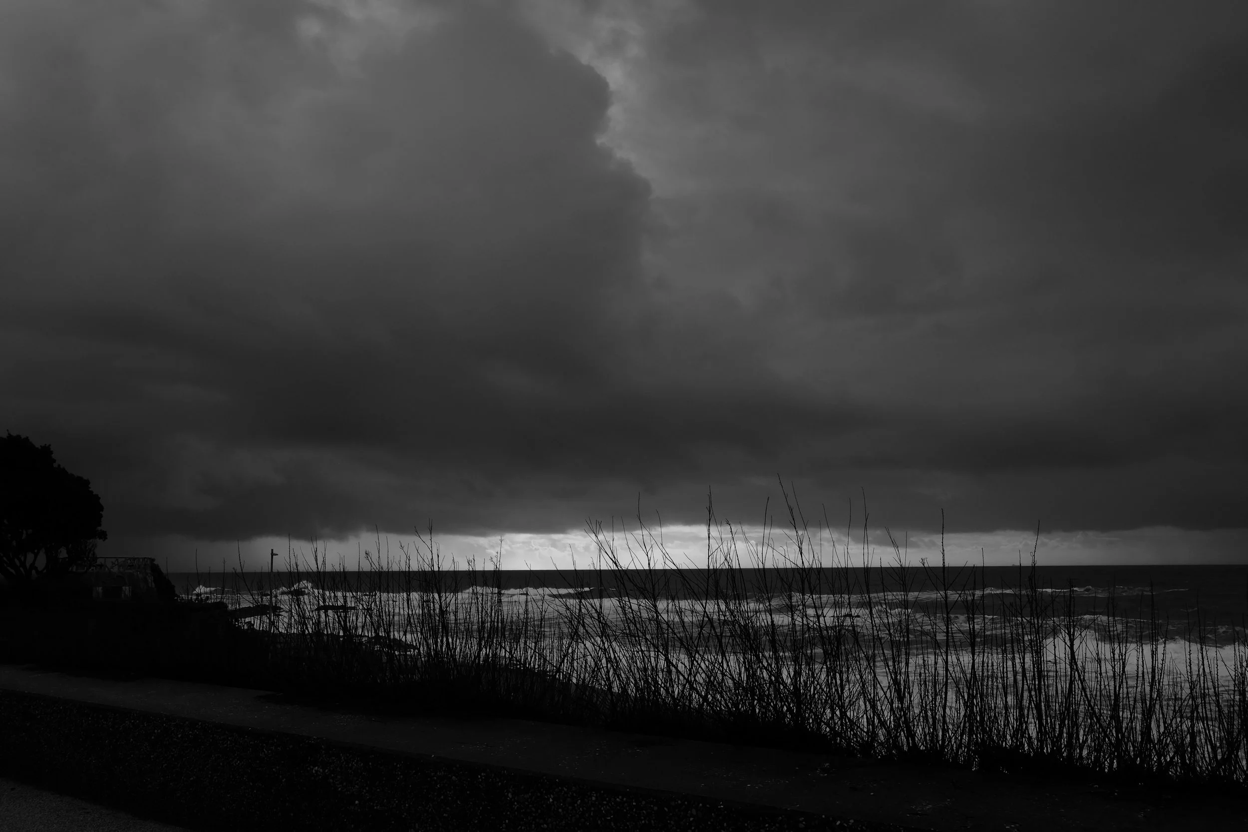 DSCF8321.JPG