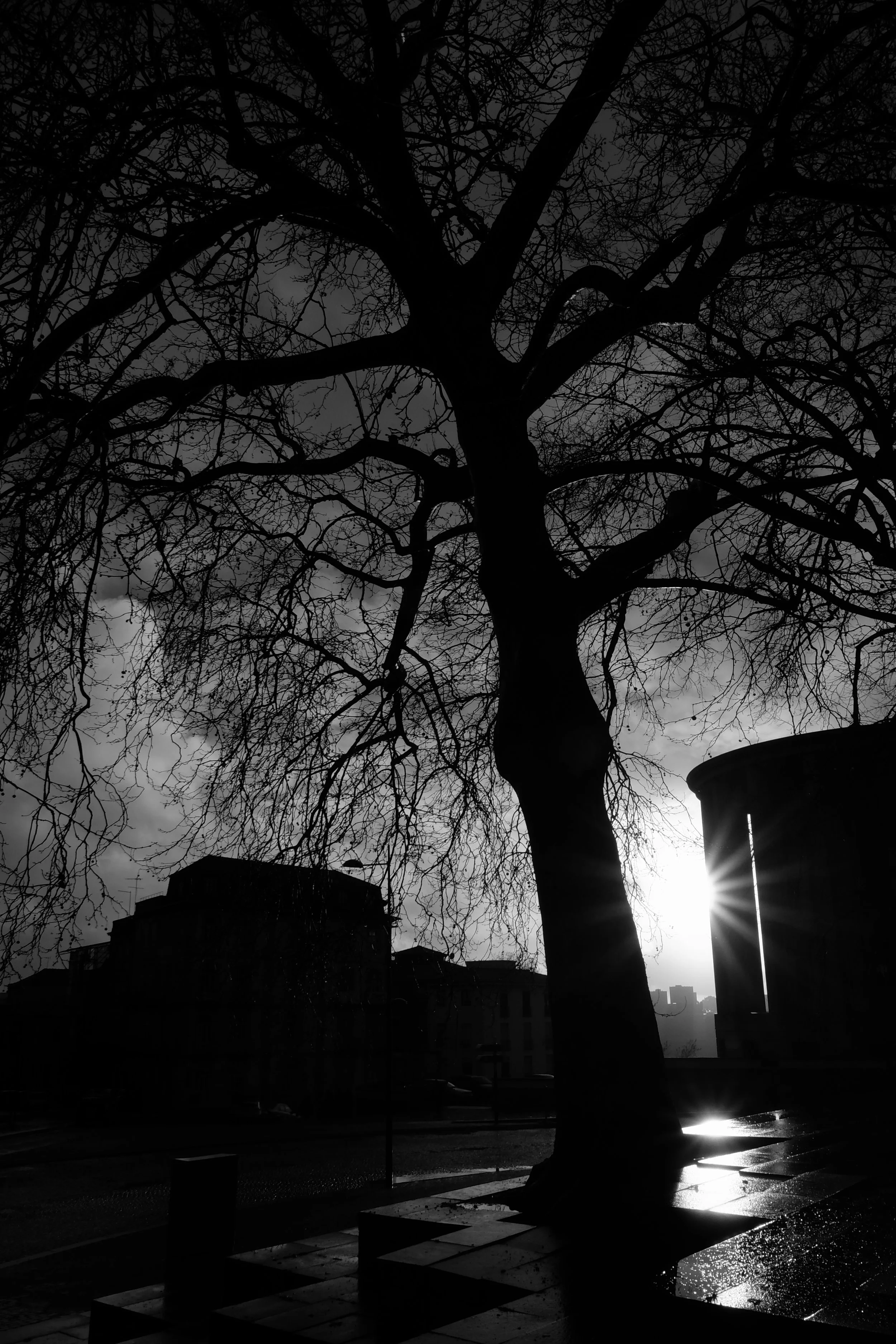 DSCF8330.JPG