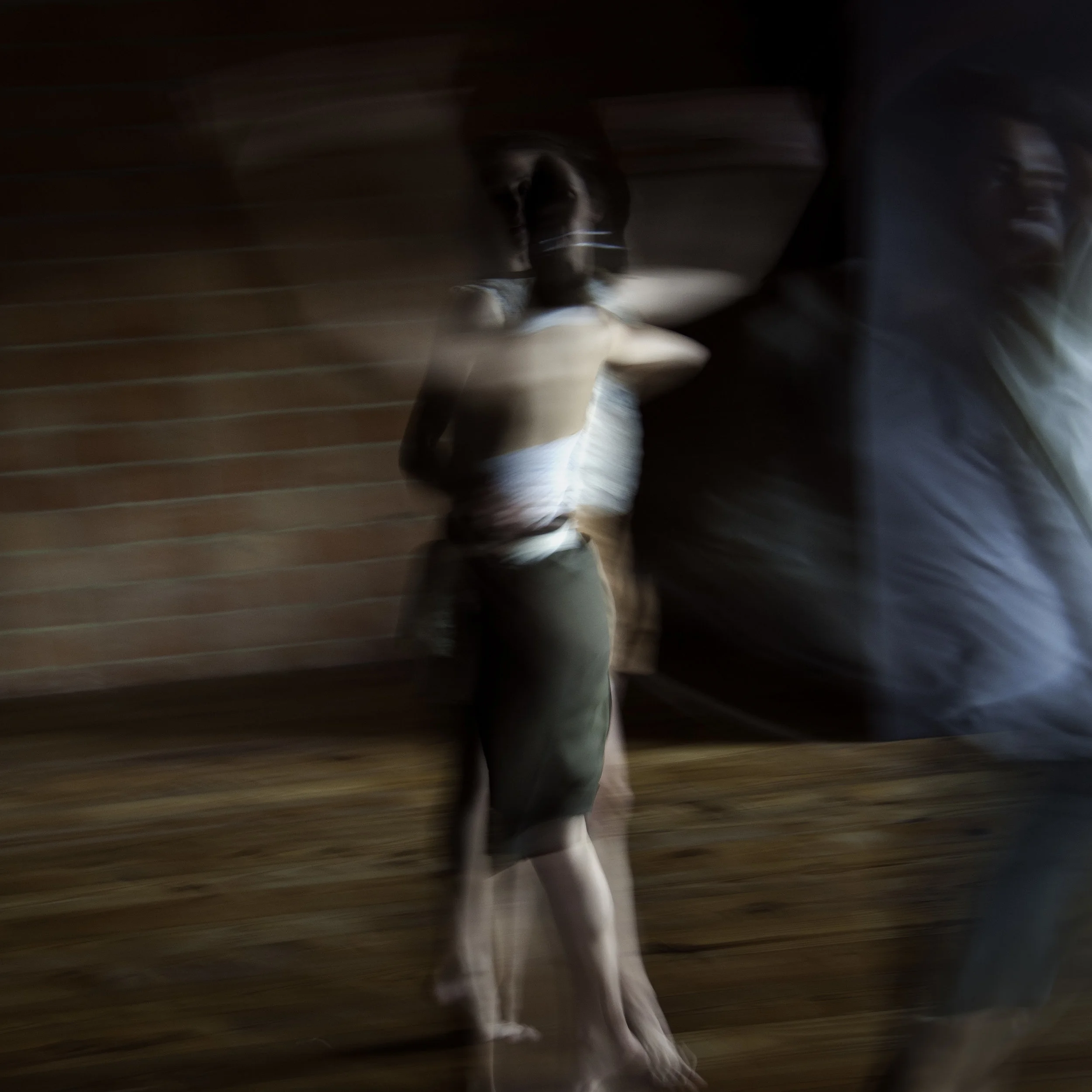   Ghost Dancer  