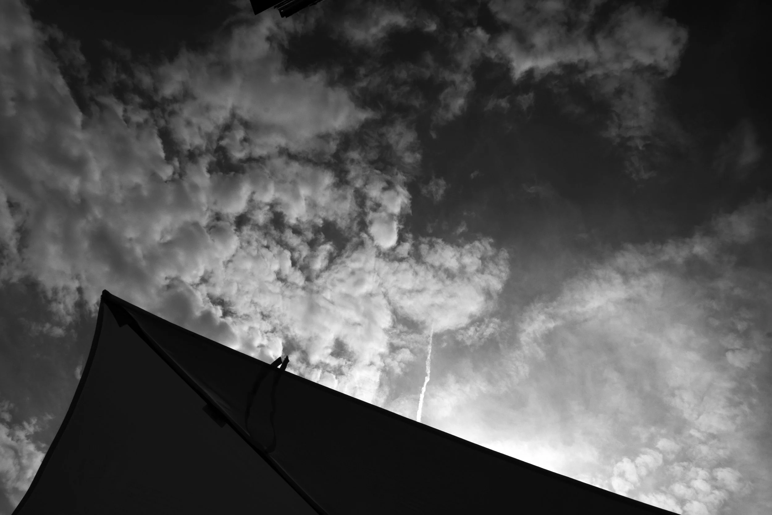 031_XP2B2445.jpg