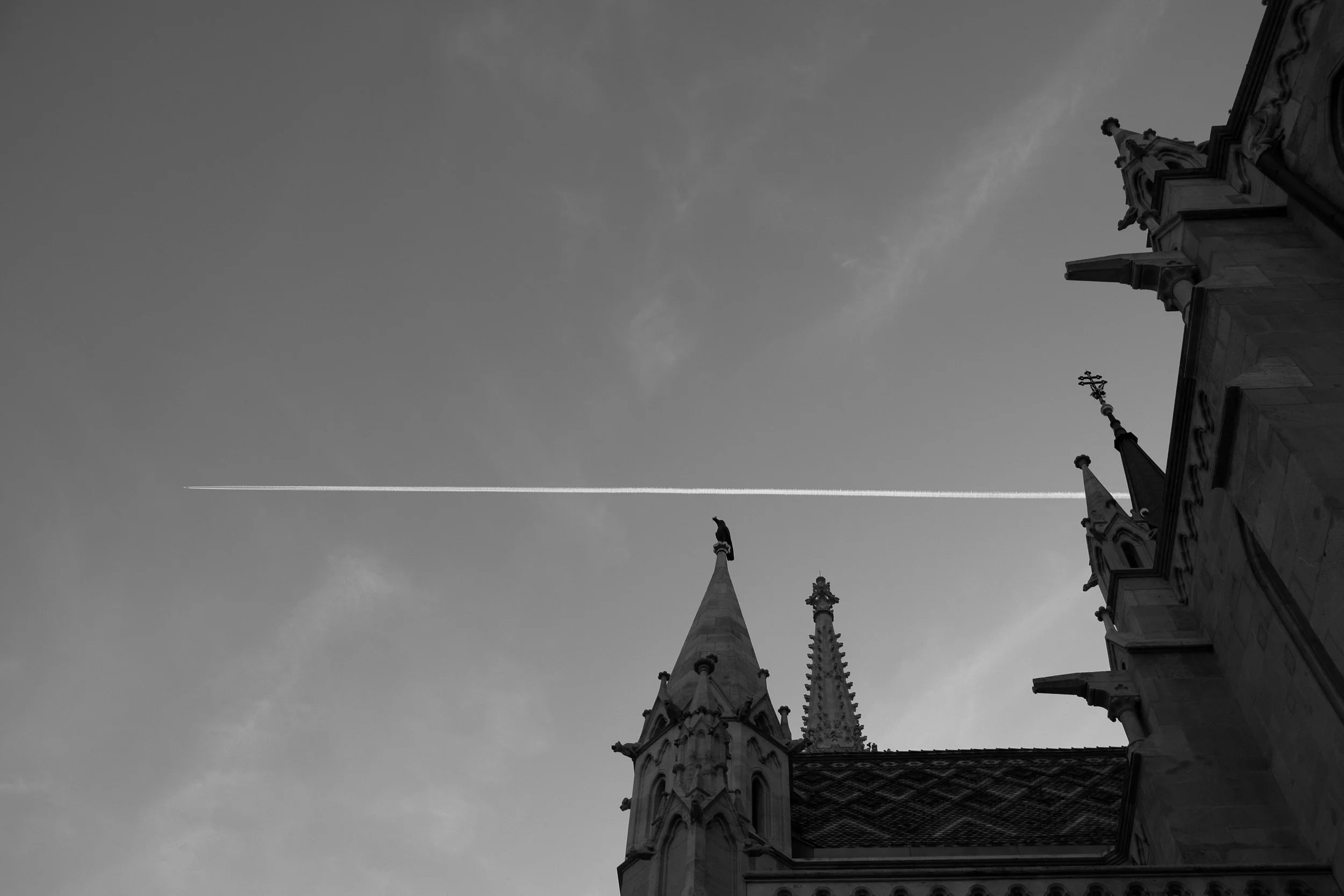 089_XP2B3921.jpg