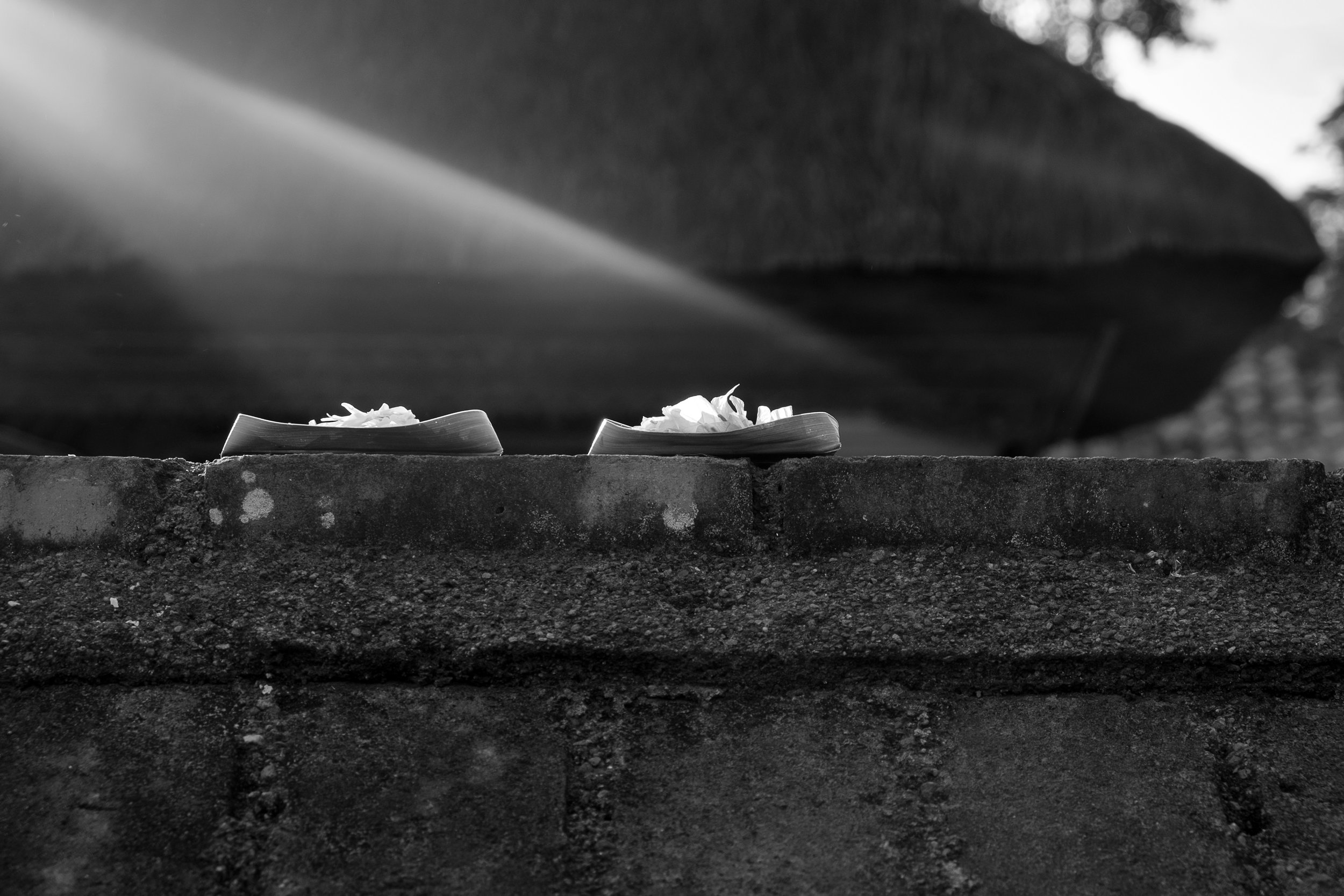 202_DSCF1213ed.jpg