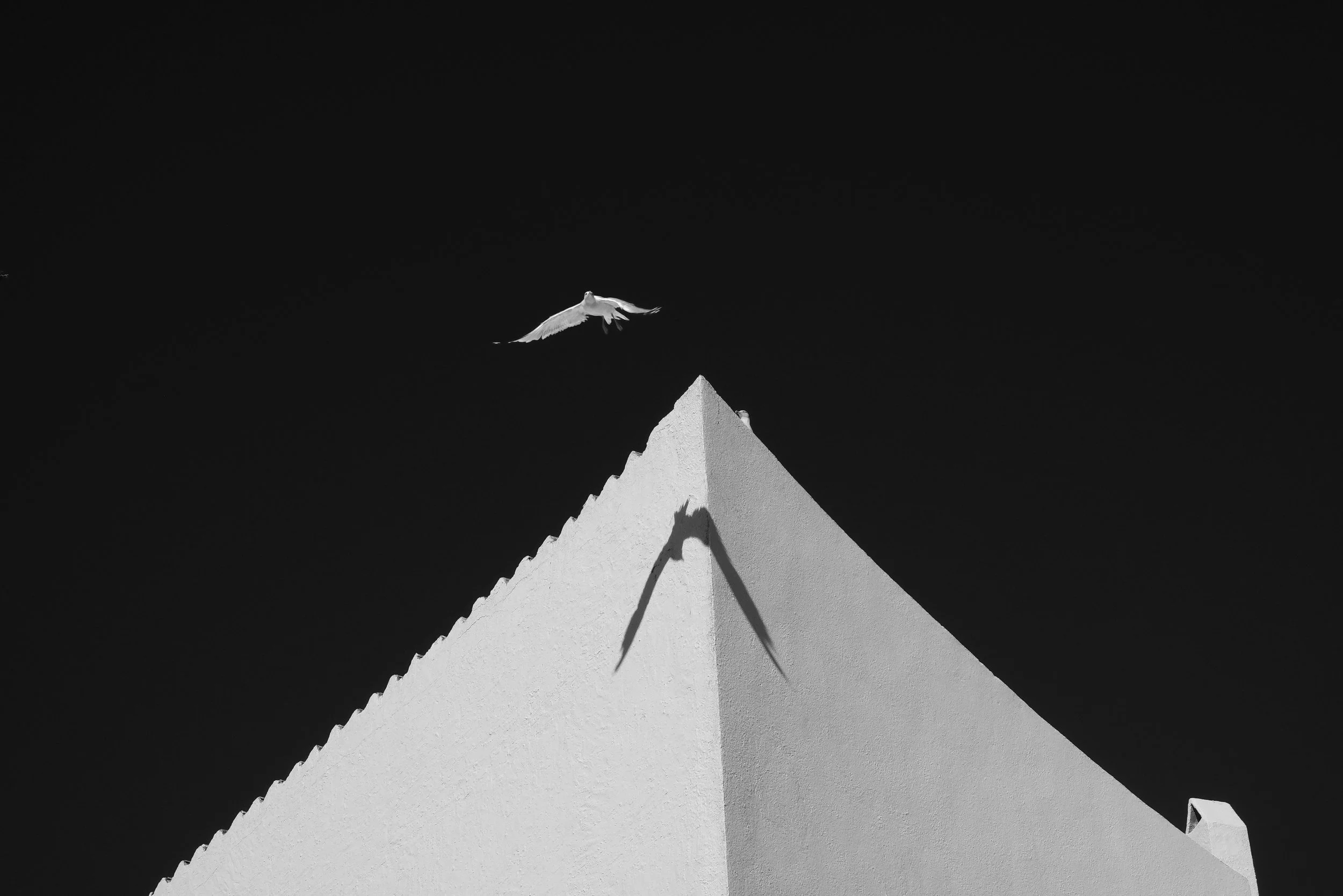 Dalí’s Flight, Cadaqués