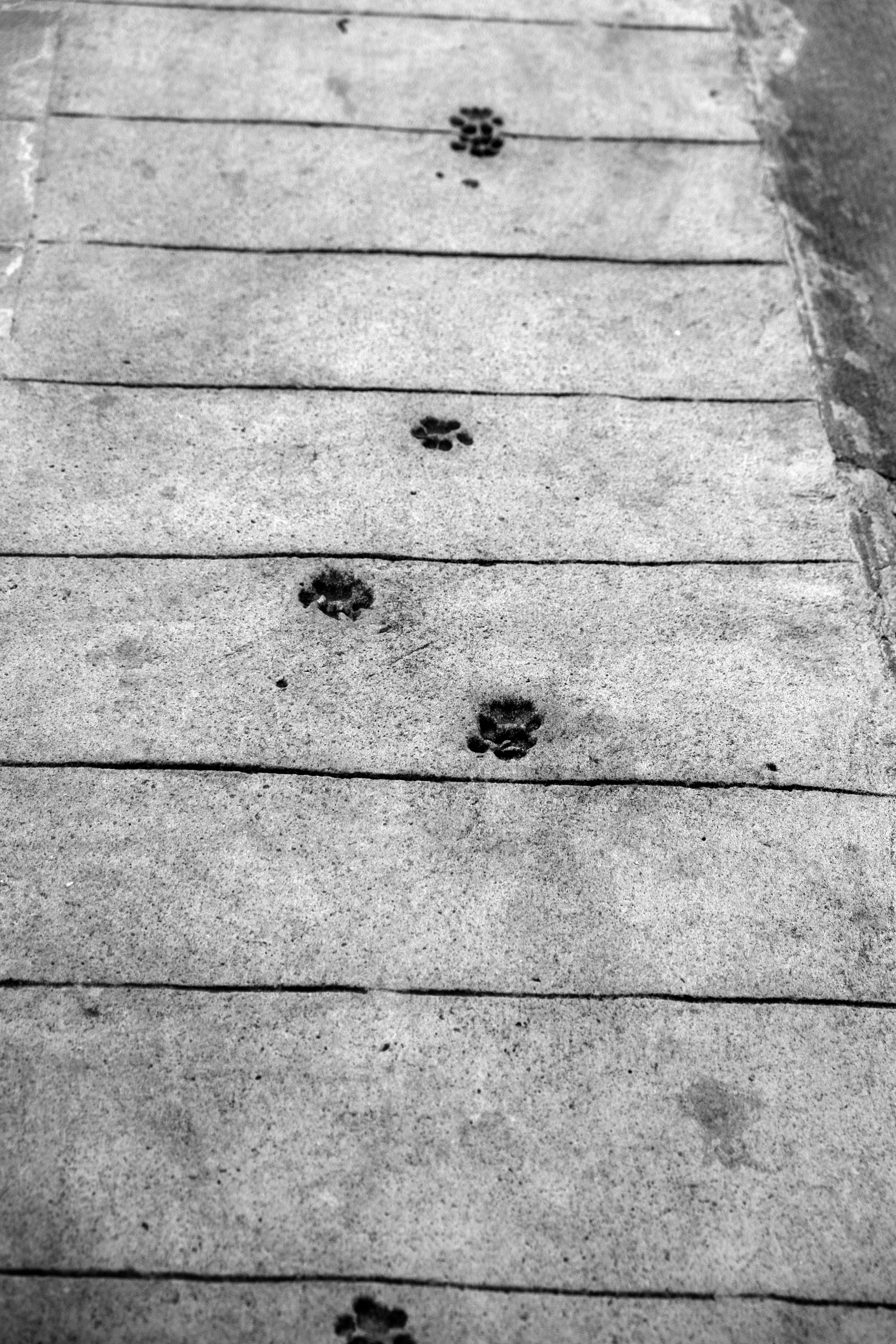 Wet Concrete, Menton