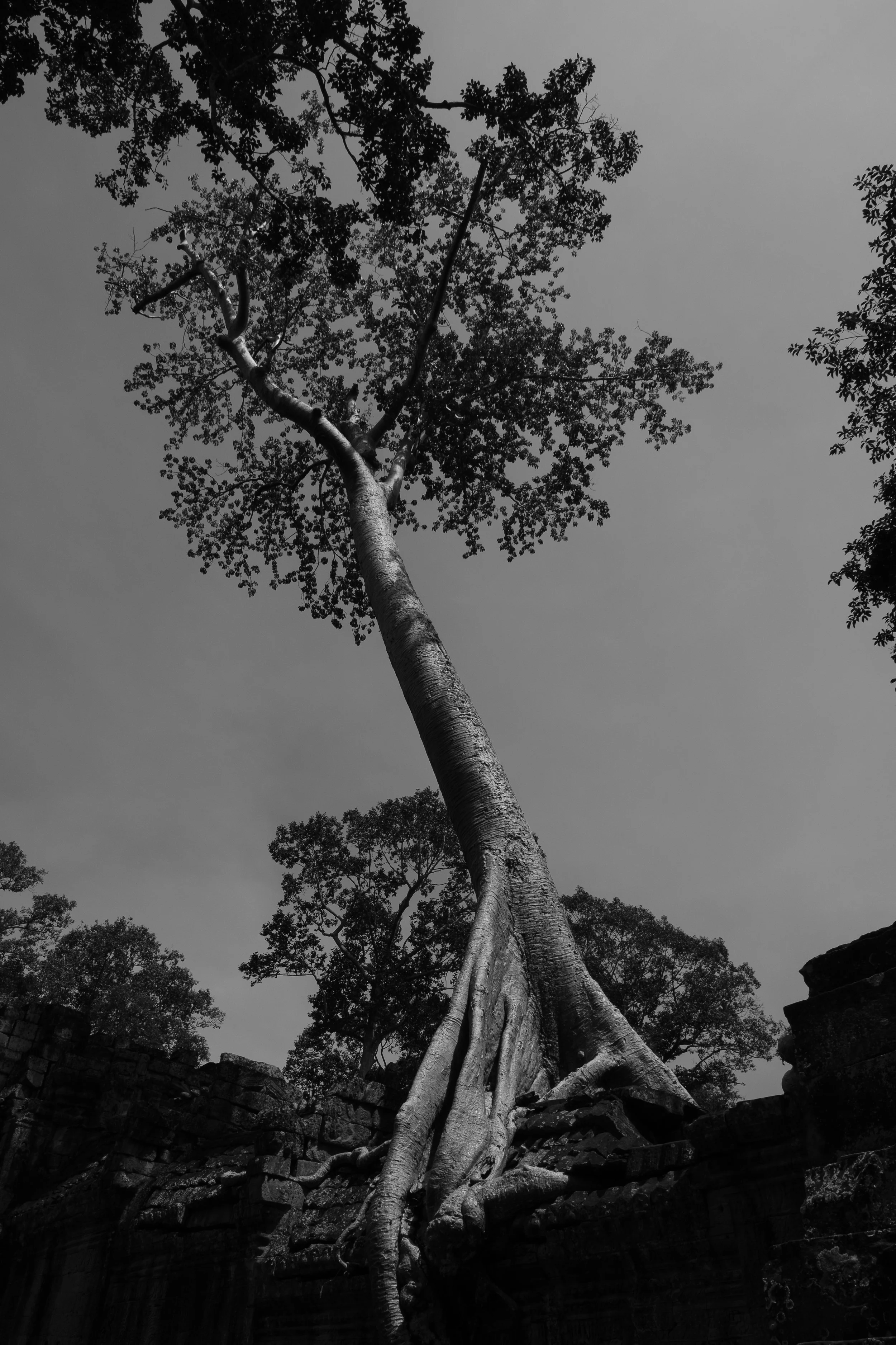 018_XP2B7227.jpg