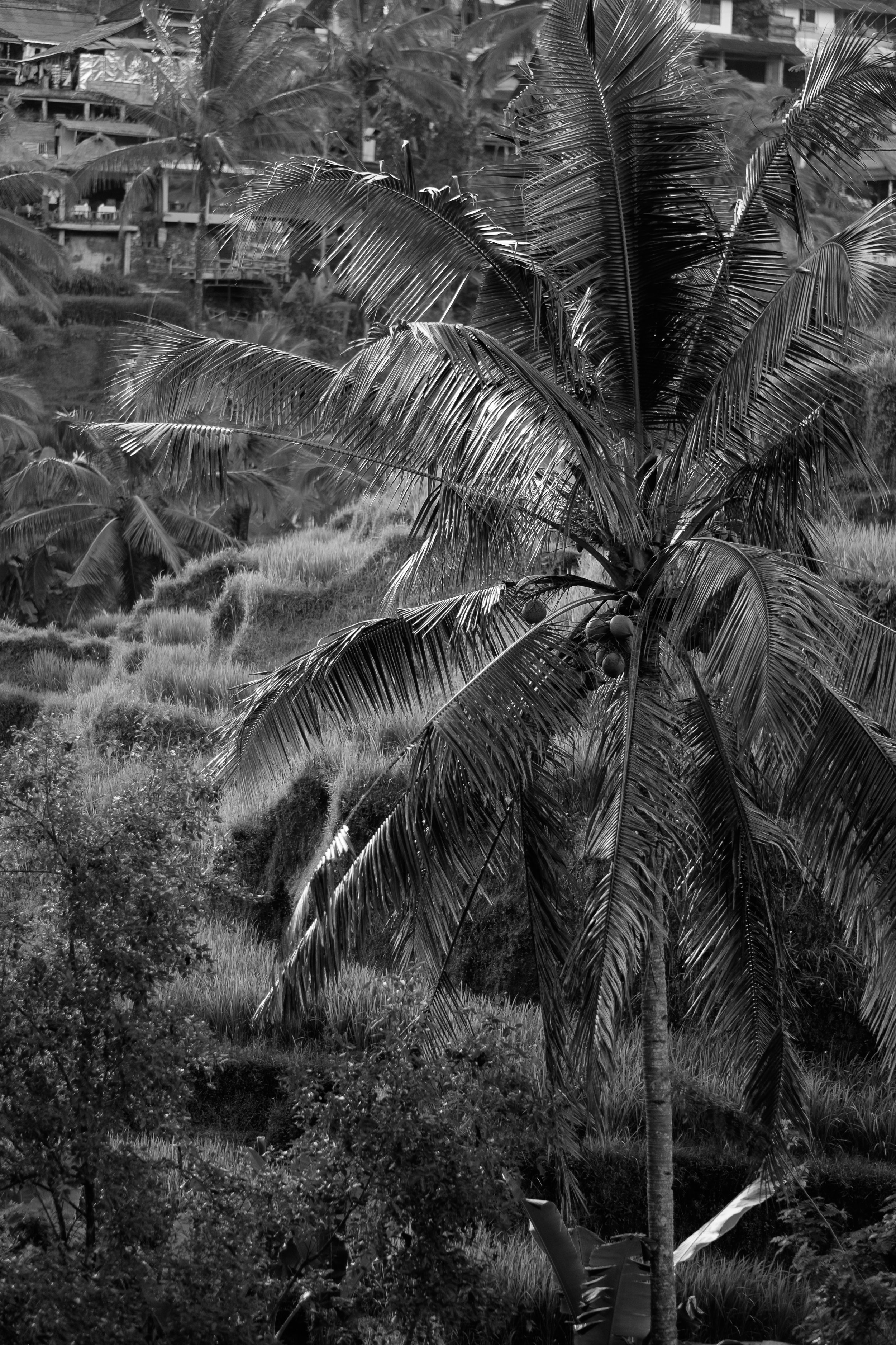 030_DSCF1288.jpg