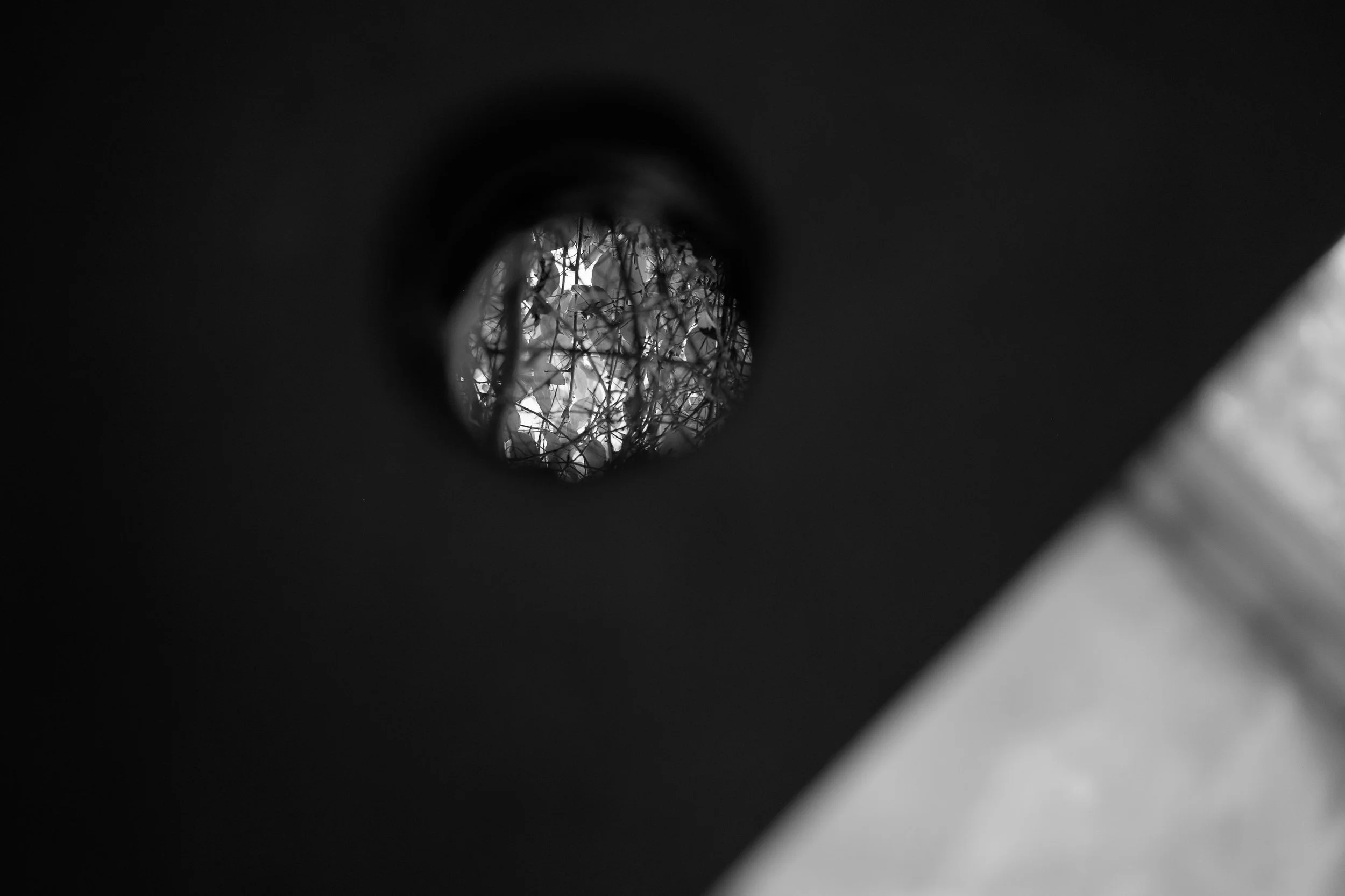   Bathroom Window I , Ubud 