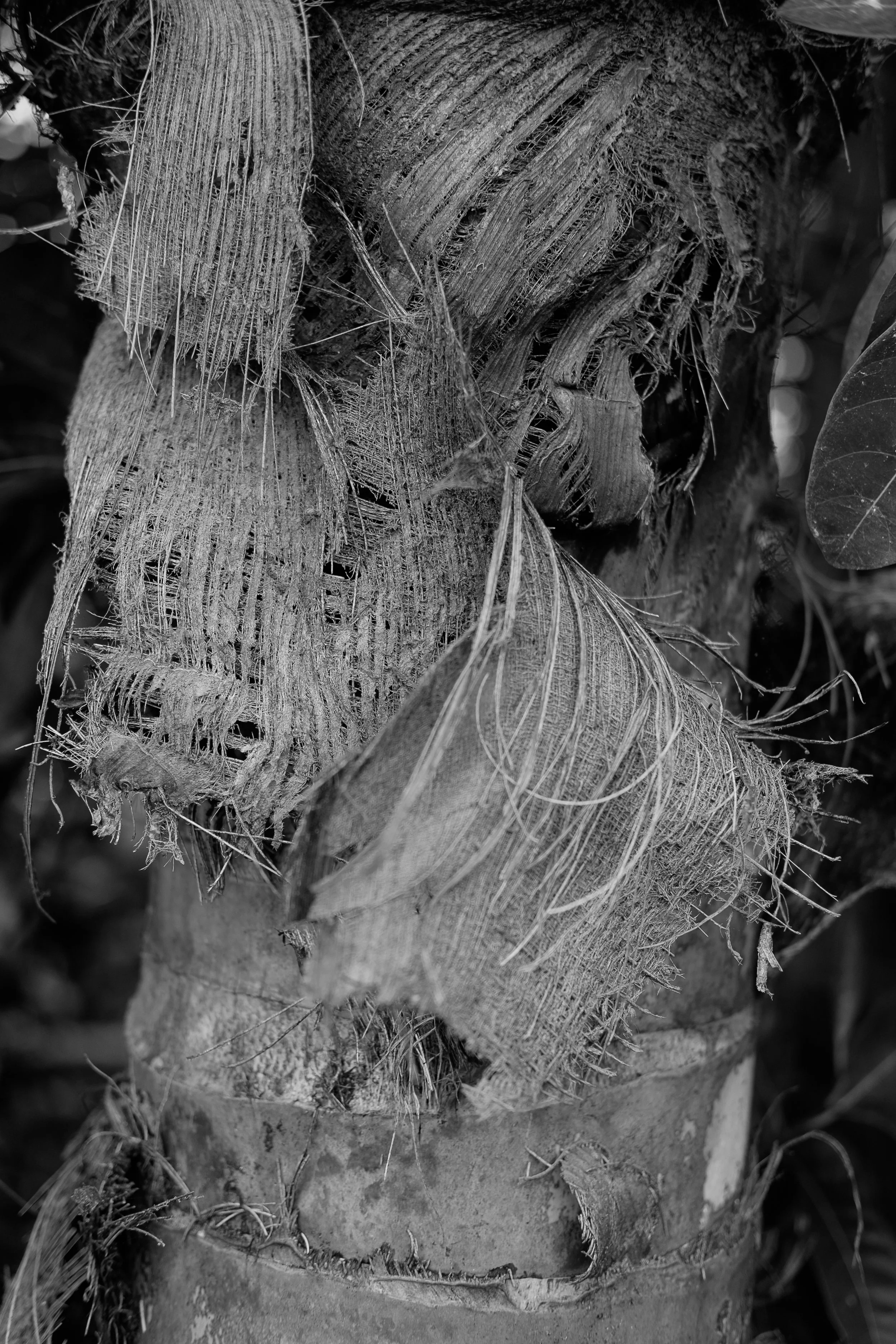 034_DSCF1375.jpg