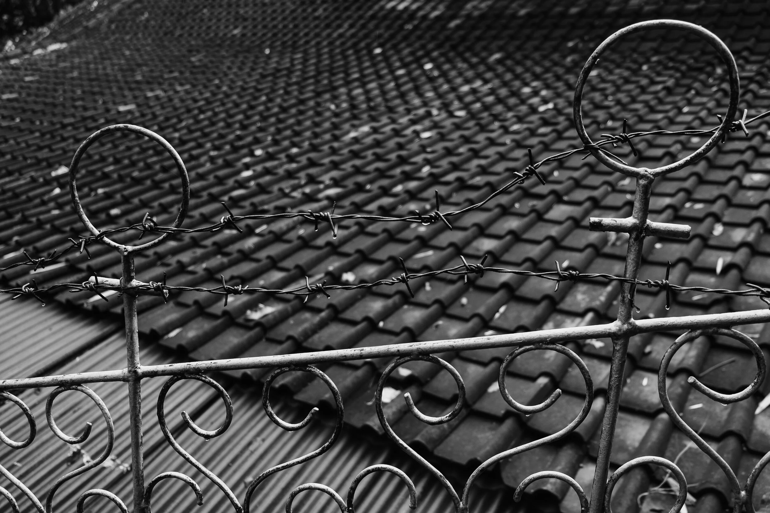 XP2B8358.jpg
