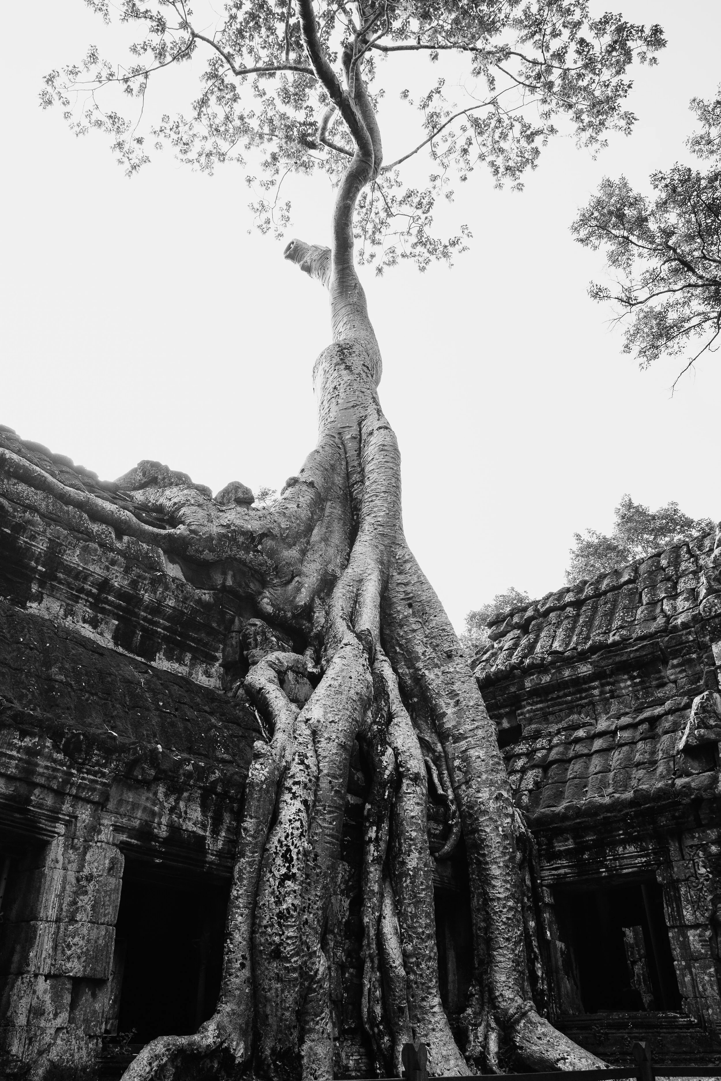XP2B7335.jpg