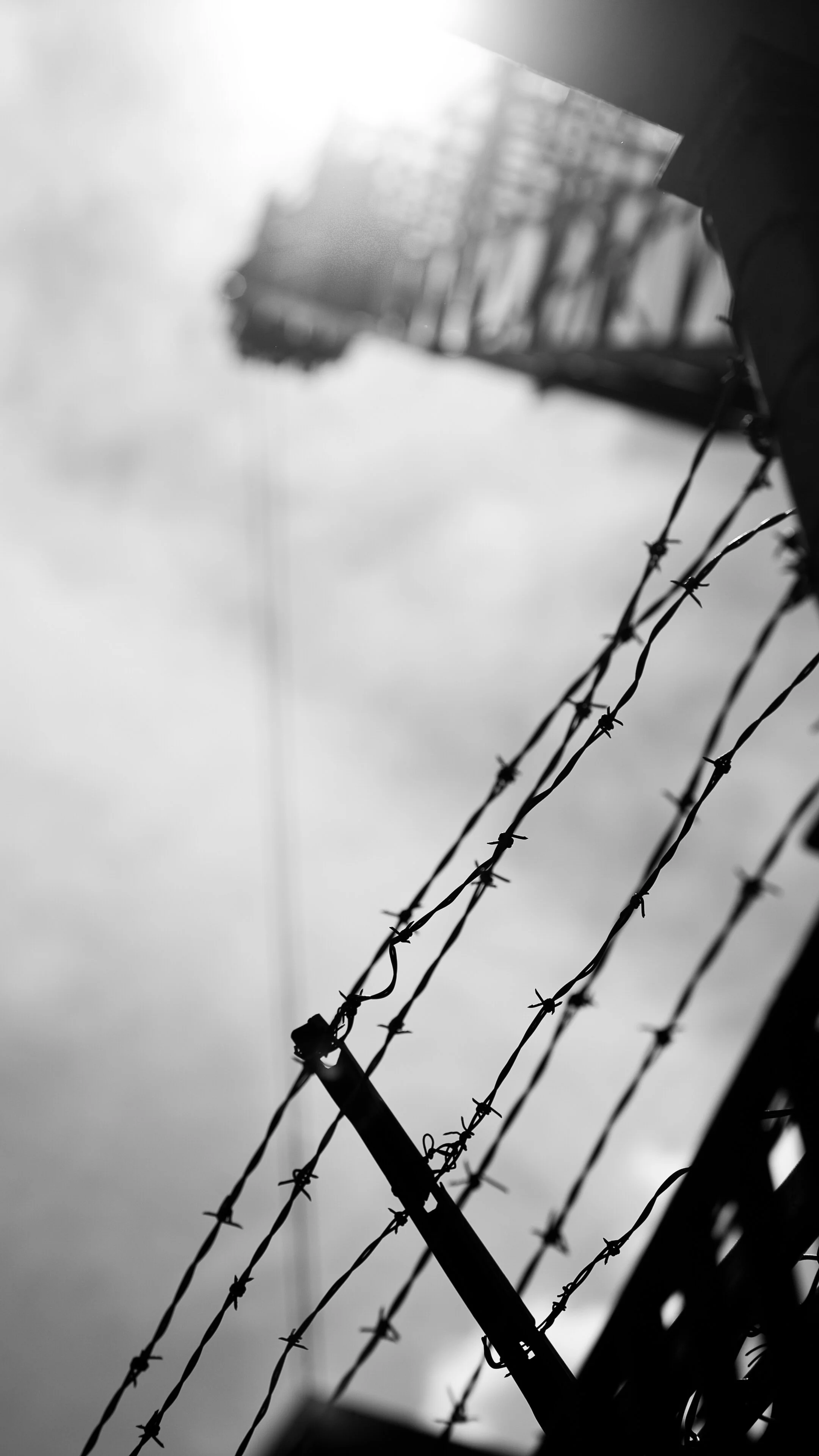 _DSC7564.jpg