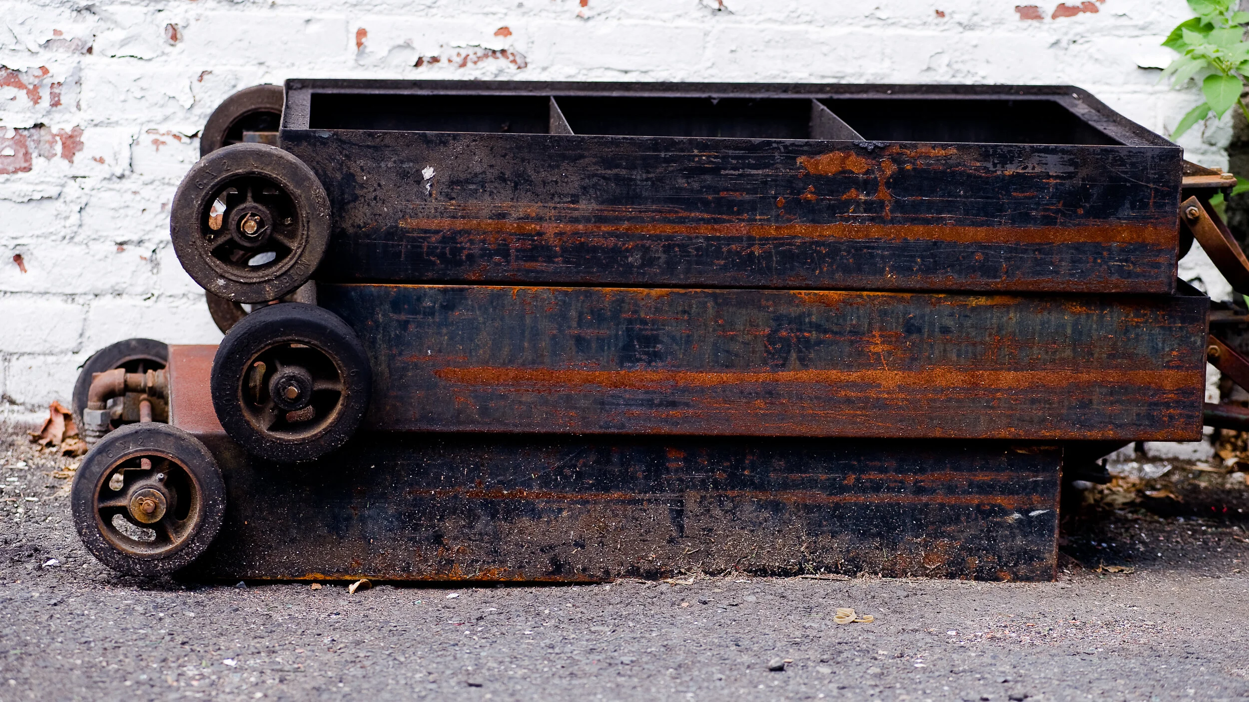 _DSC7598.jpg