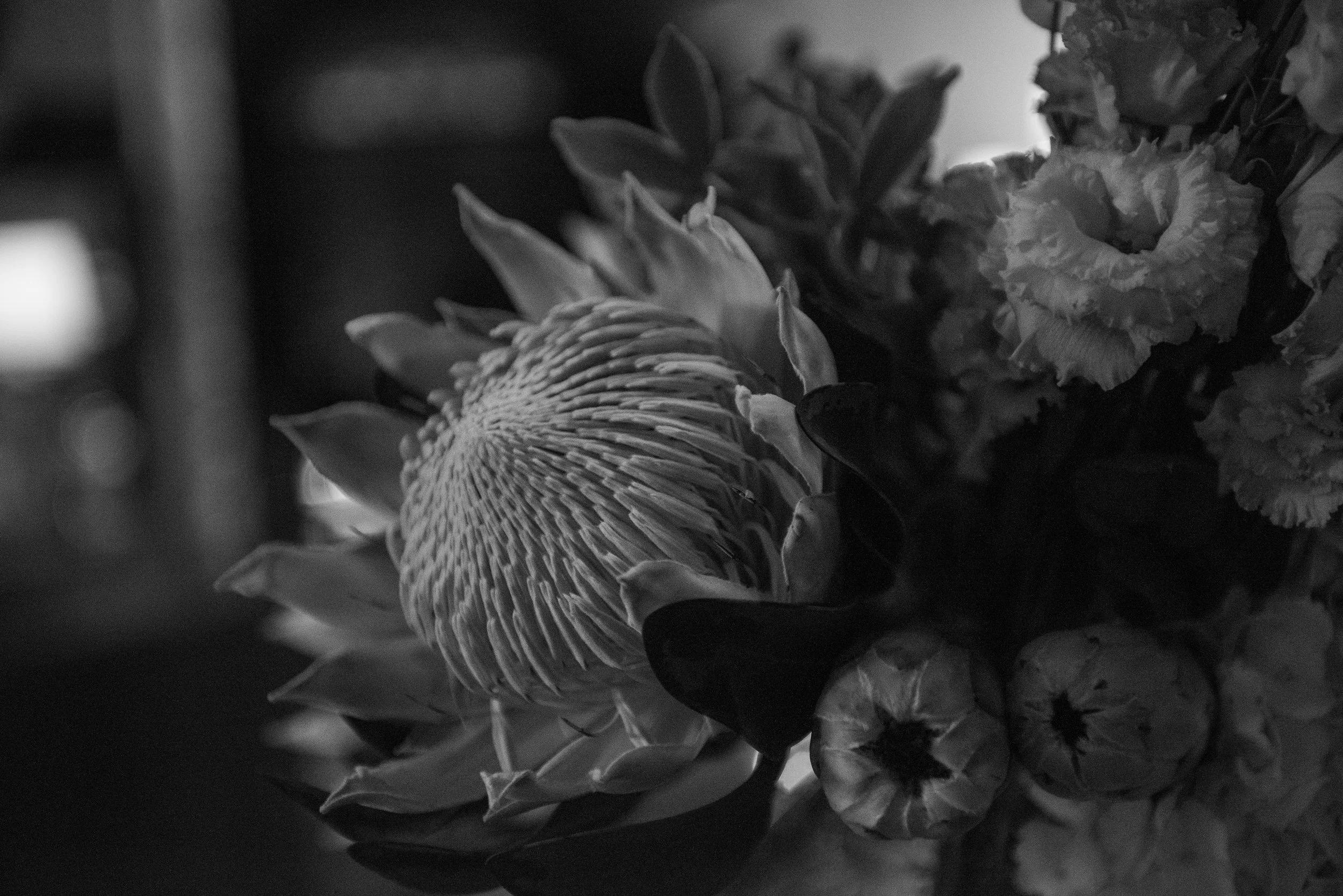 0060__PJ17065.jpg