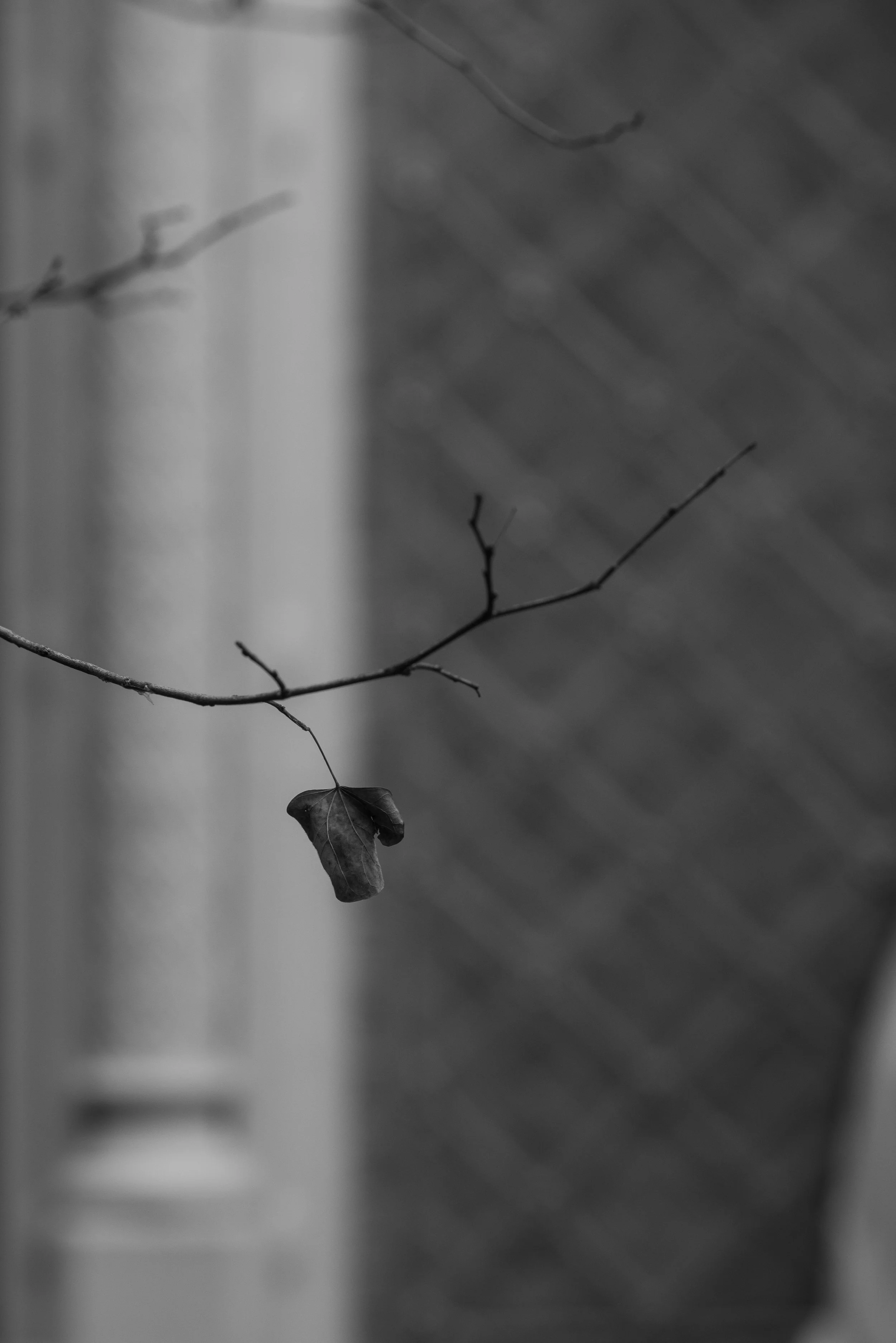 0004_DSC_9344BW.jpg