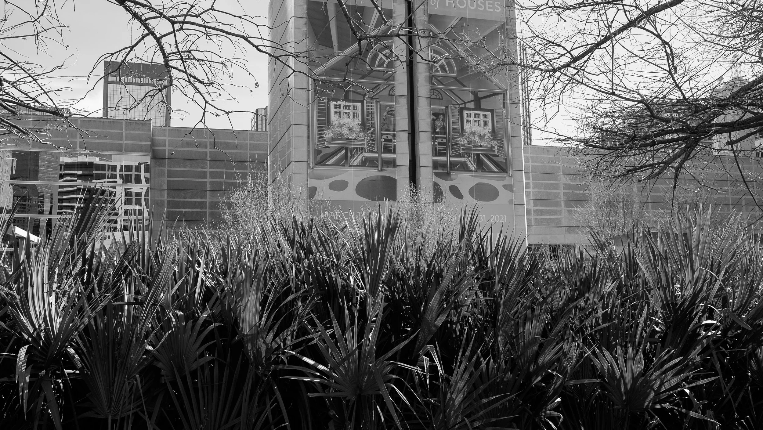 0018_DSCF8307.jpg