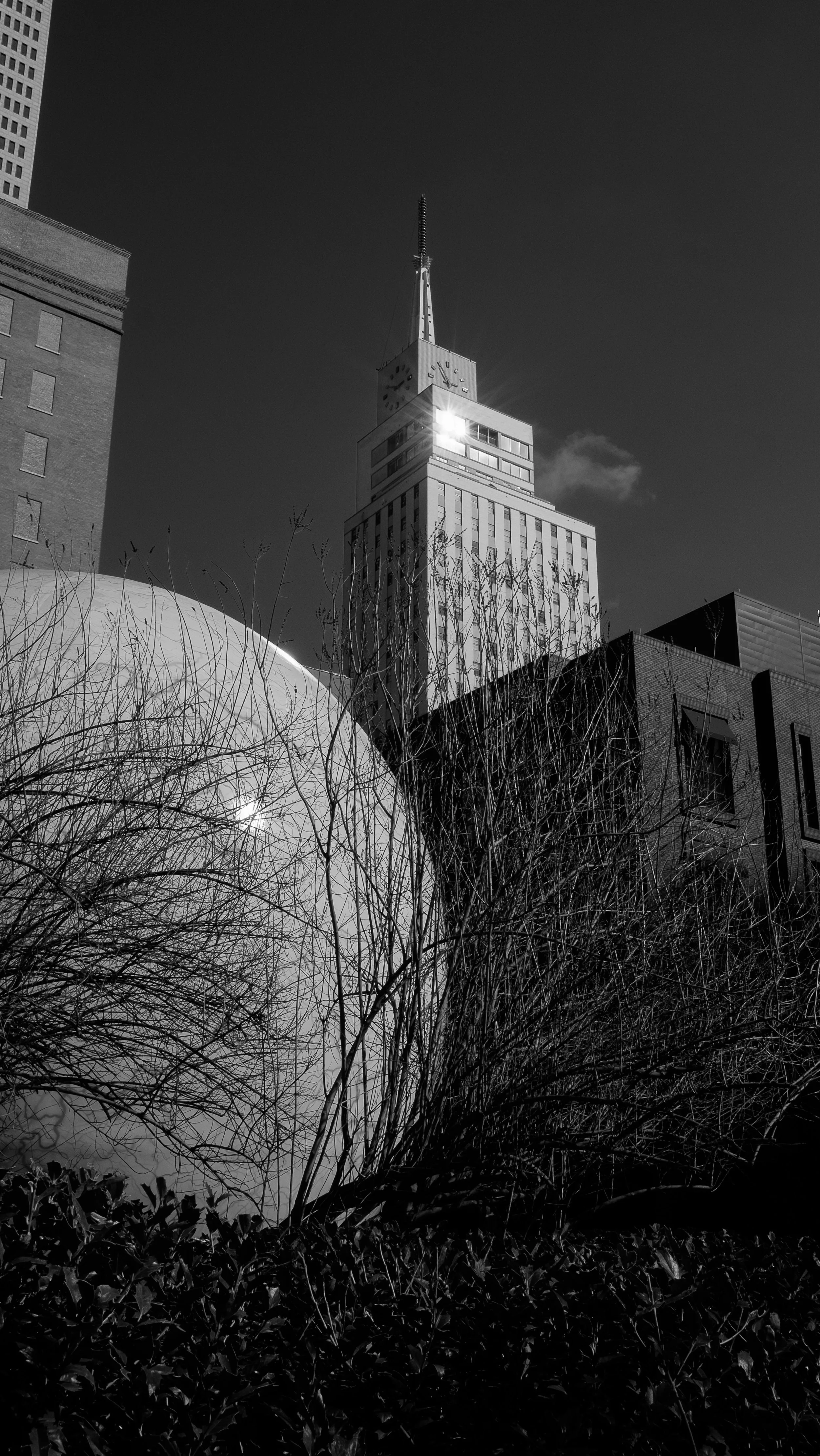 0038_DSCF8513.jpg