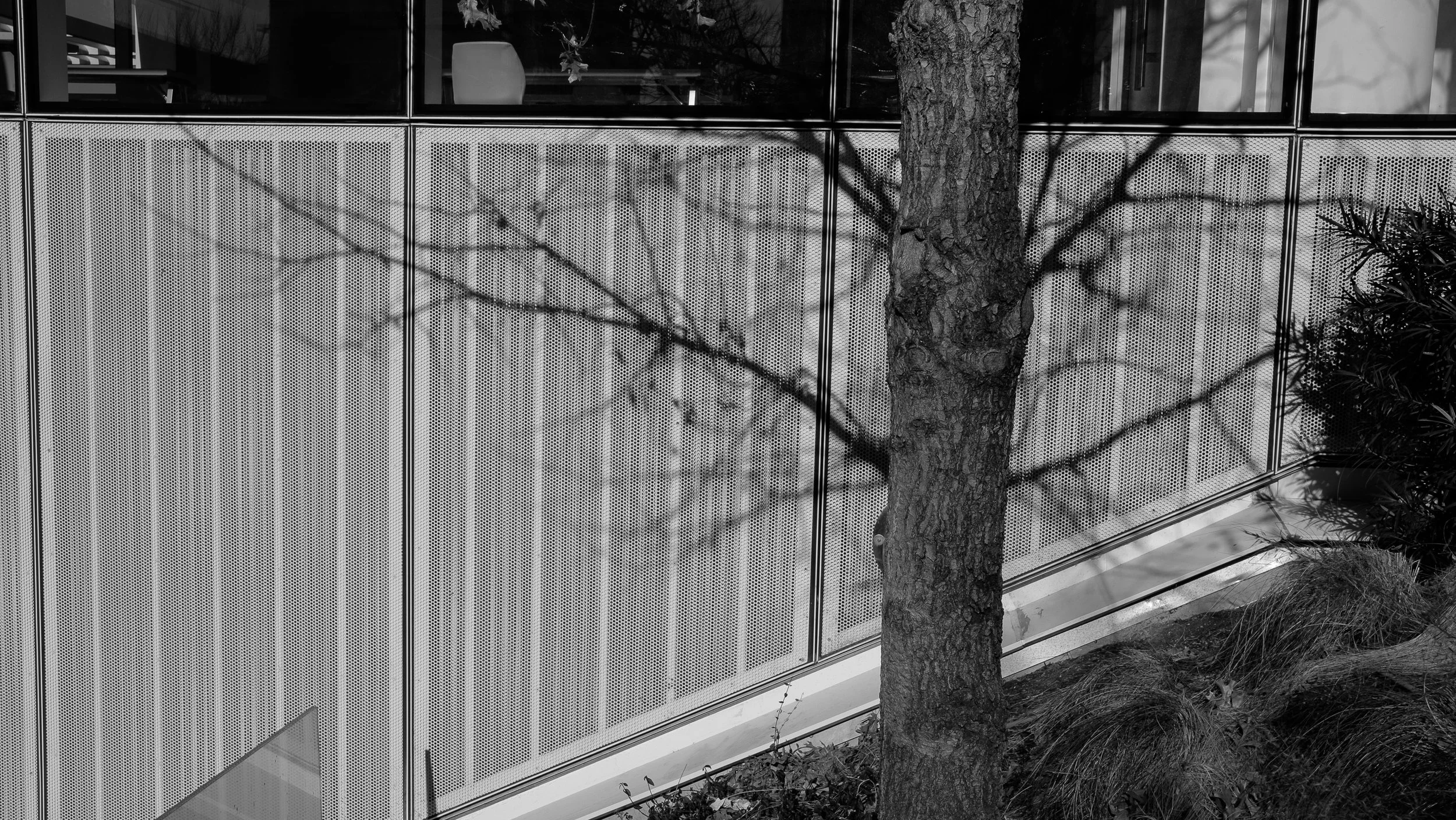 0041_DSCF8594.jpg