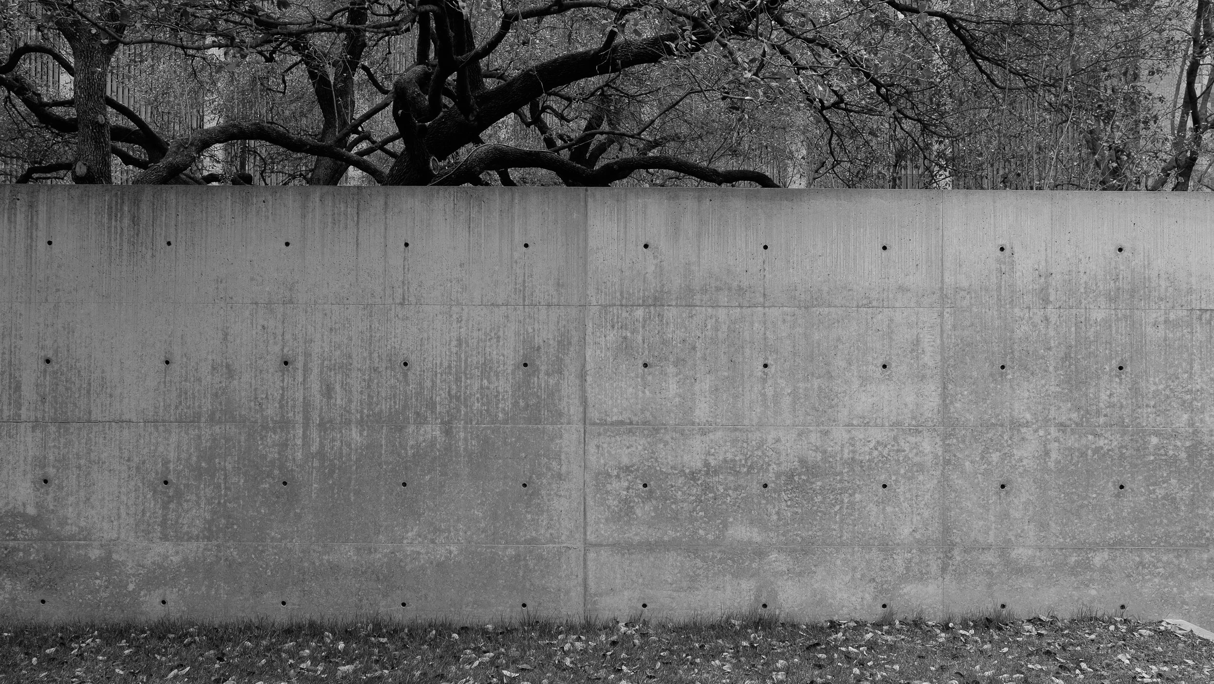 0044_DSCF8837.jpg