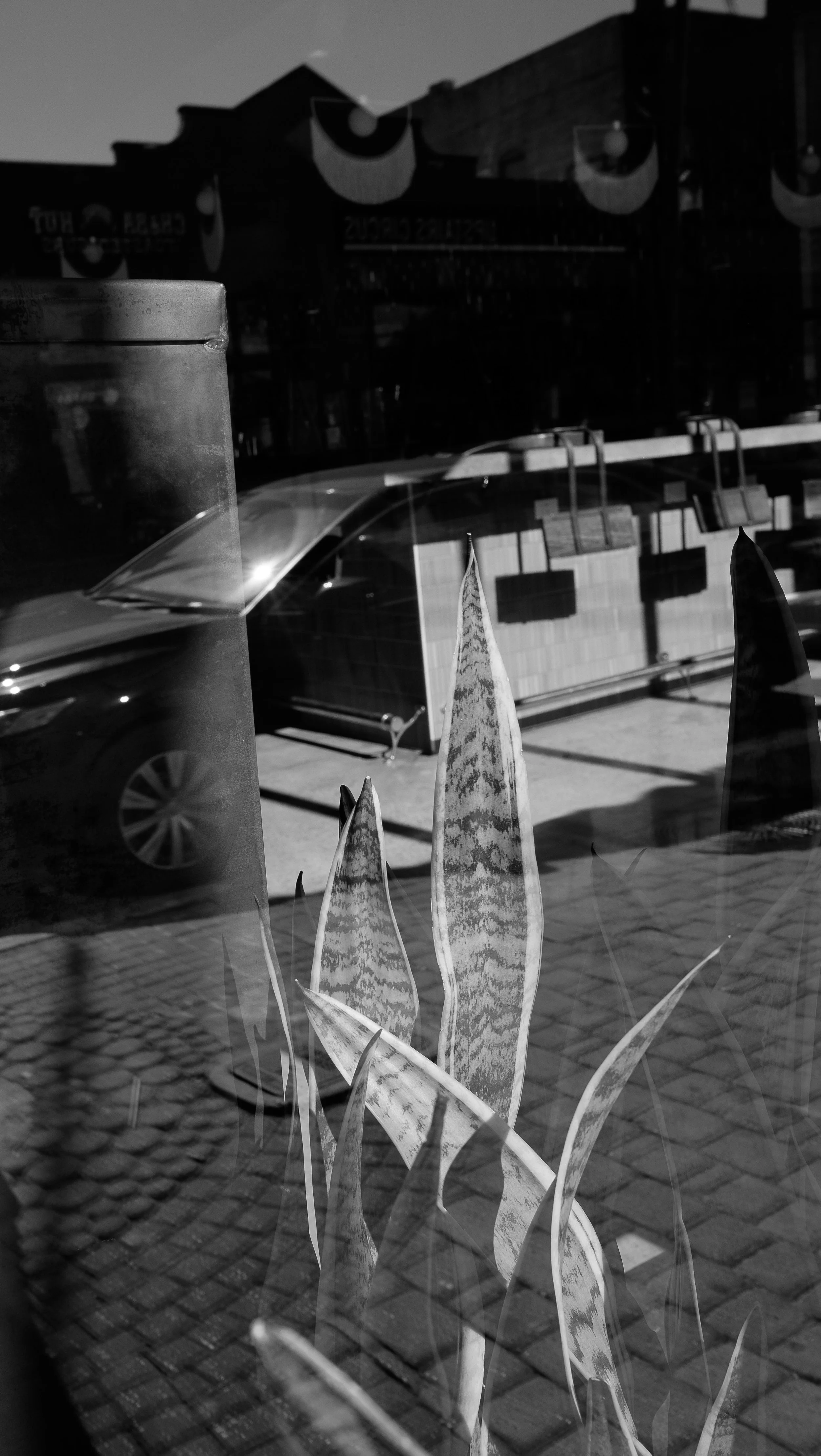 0079_DSCF9558.jpg