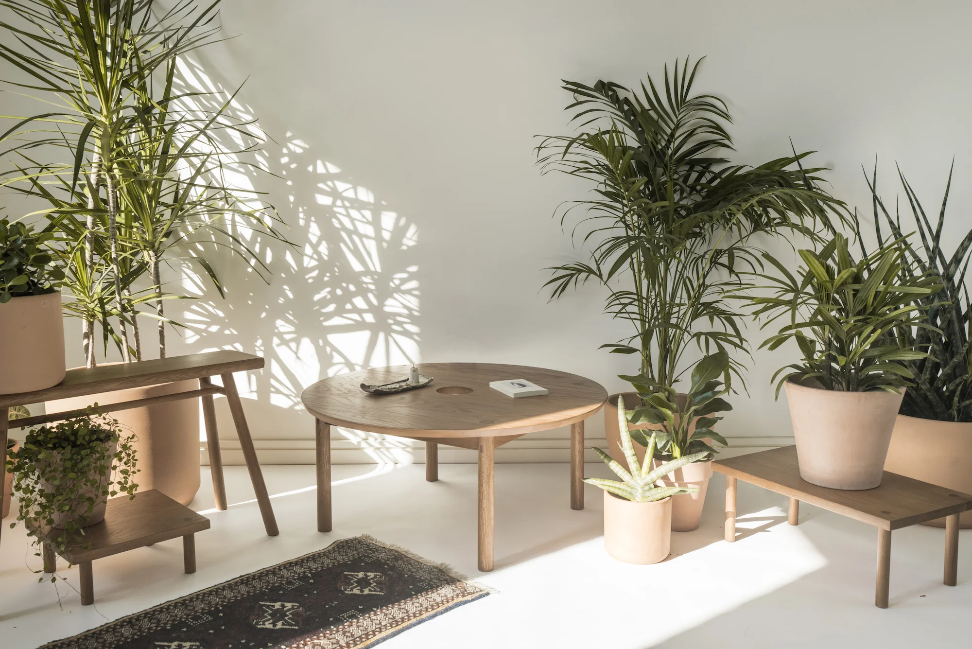 Aurea Table - Sun at Six