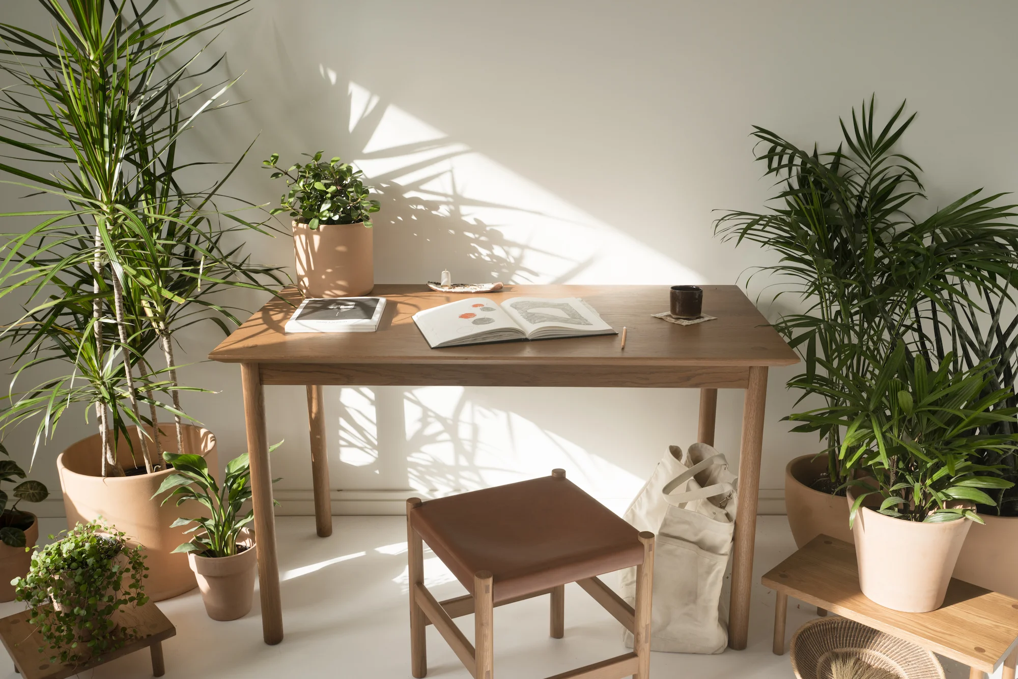 Coast Table - Sun at Six