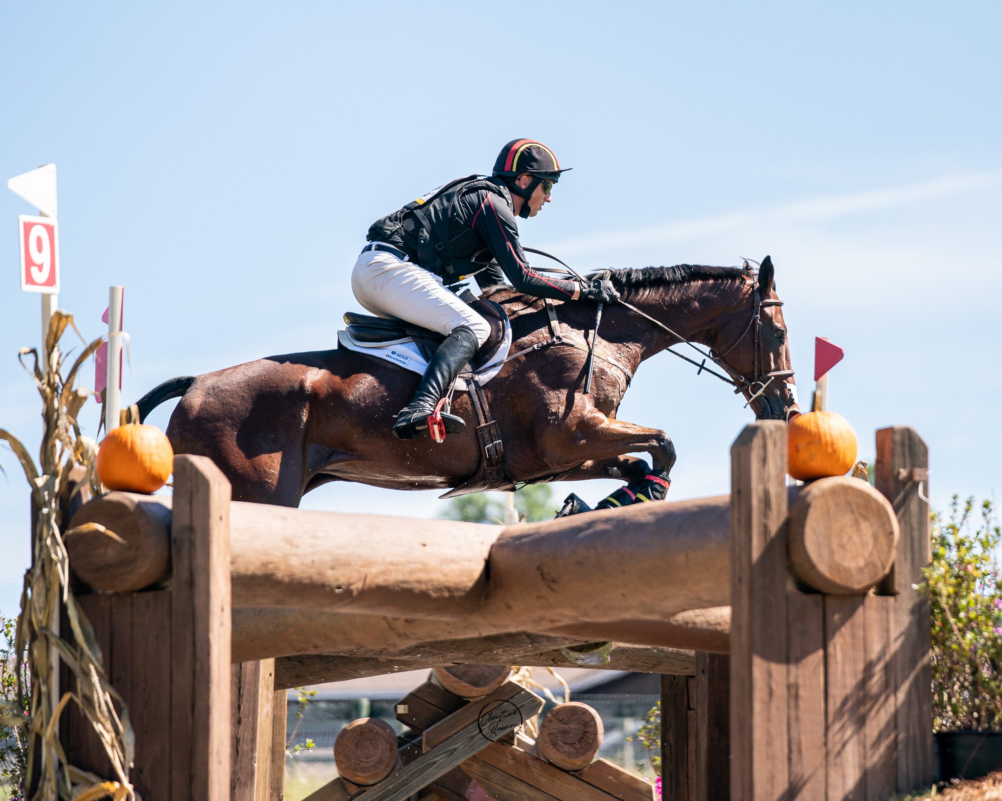  Doug Payne and Quantum Leap at Stable View (photo by Chris Quinn) 