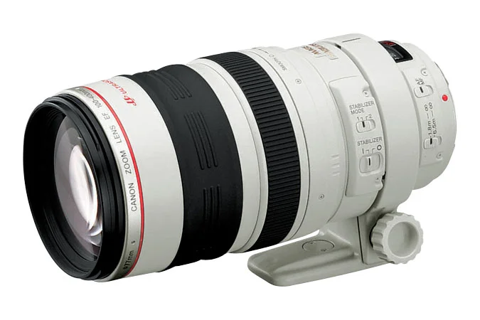 Canon 100-400 4.5-5.6L IS