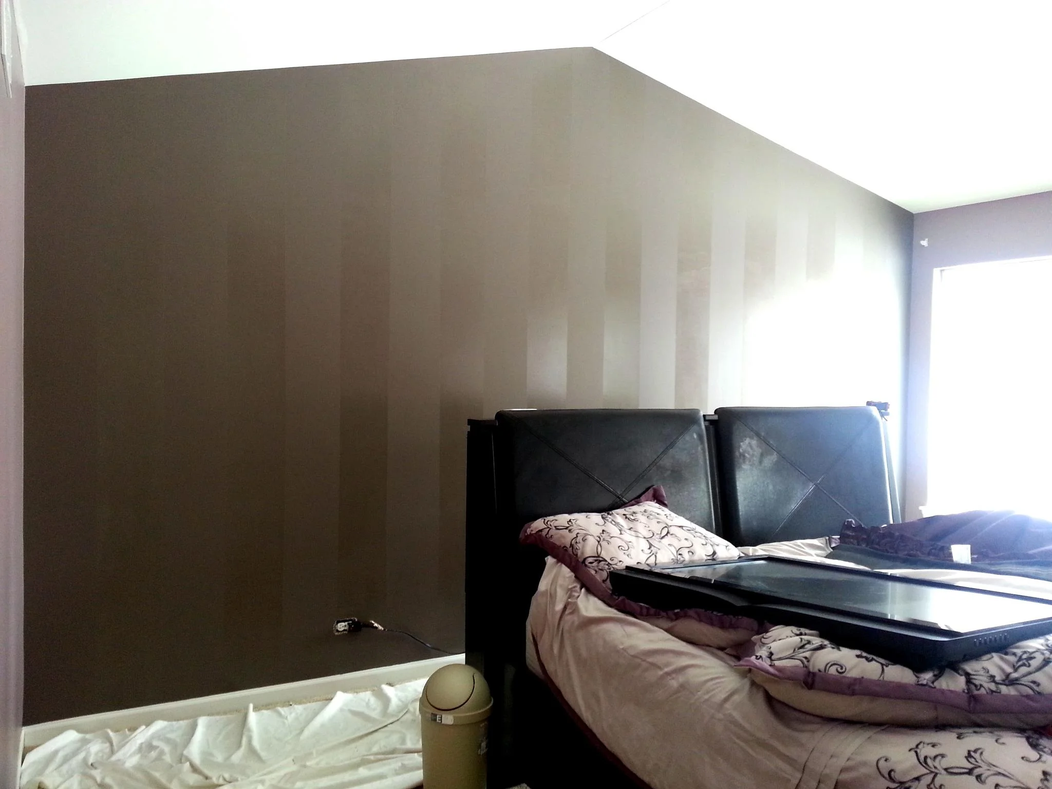 Clear Gloss Stripe-1.jpg