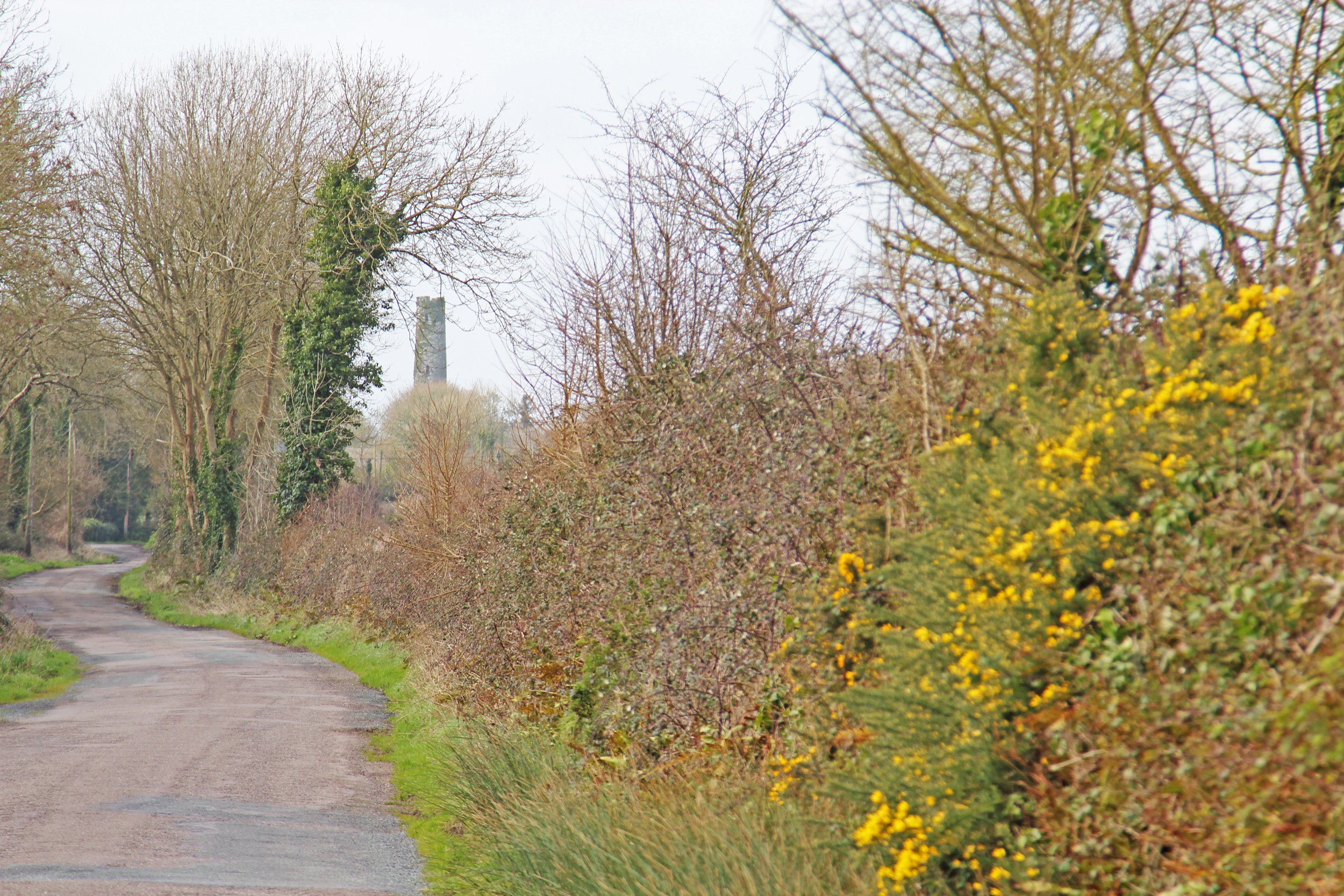 tower 3 - entering cloyne.jpg