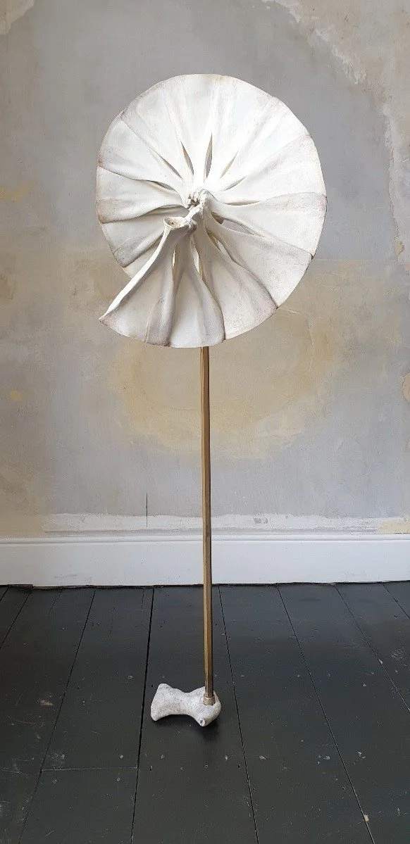deer bone light