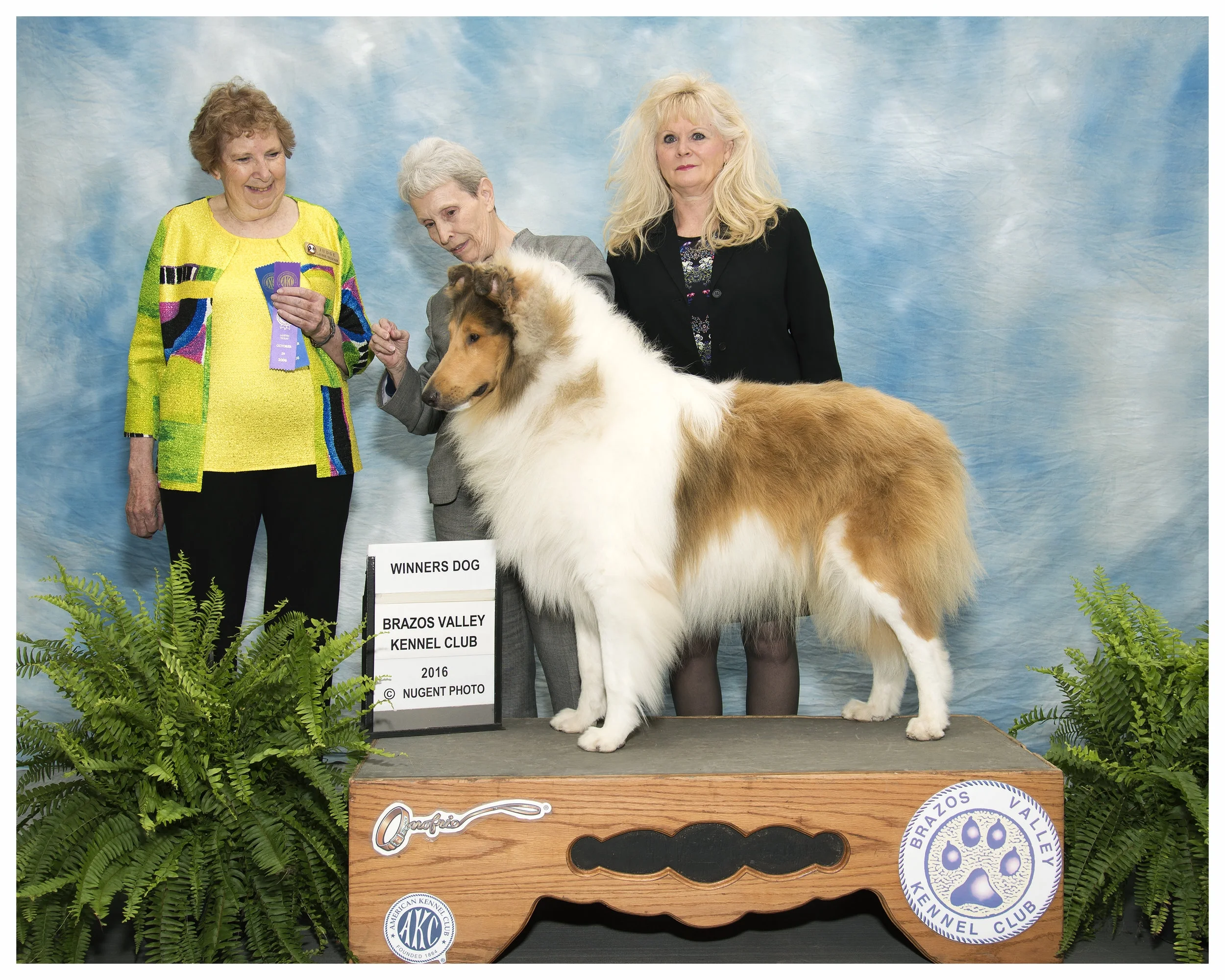 INT. CH/AM CH Afterhours Chain of Command "Gunner" "Winner's Dog"