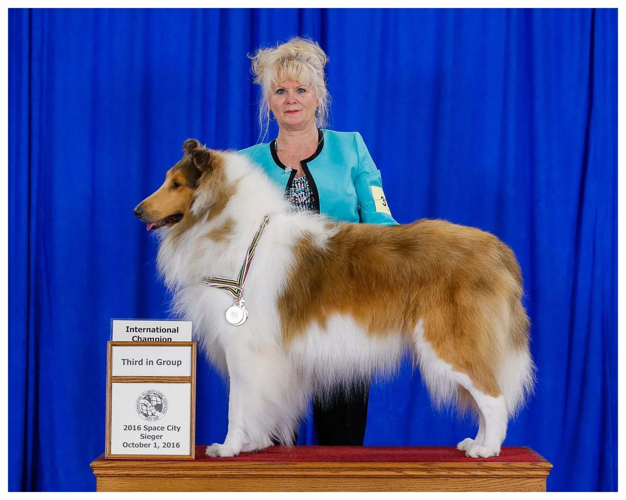 INT. CH/AM CH Afterhours Chain of Command "Gunner" Earned his "International Championship" also took "3rd In Group"
