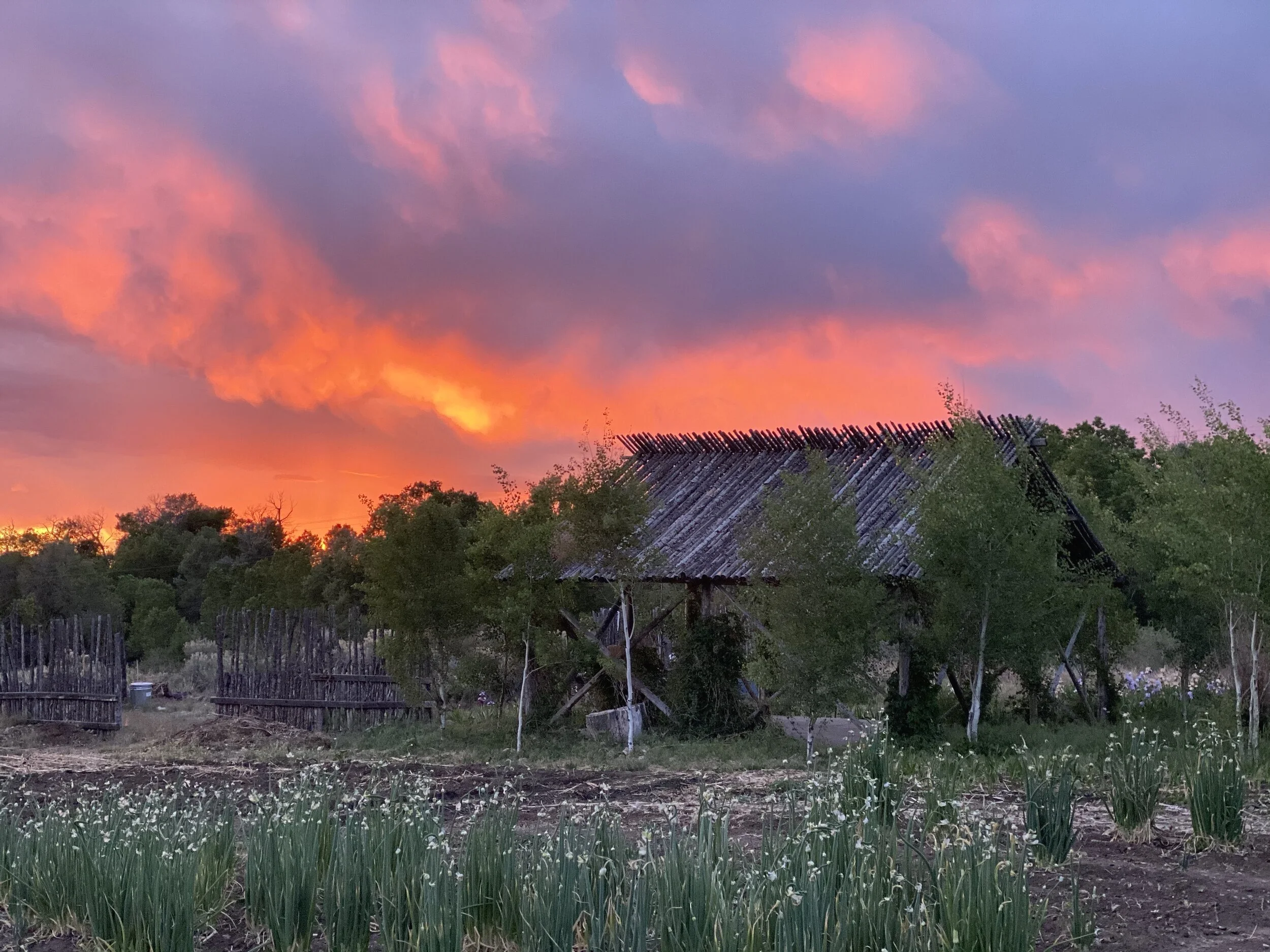 Cabins and vacation home rentals near Taos NM