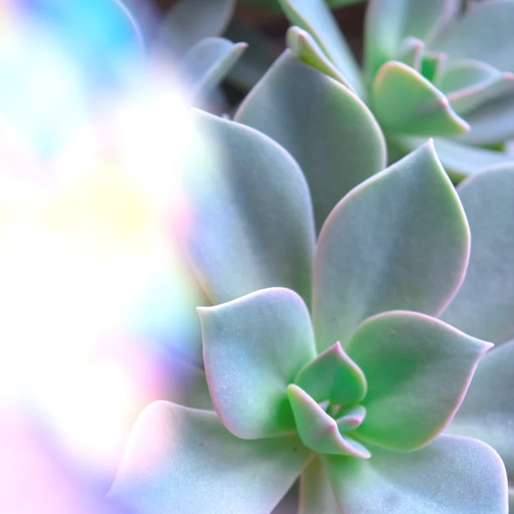 unsplash-image-pxR_GPN8pSM.jpg