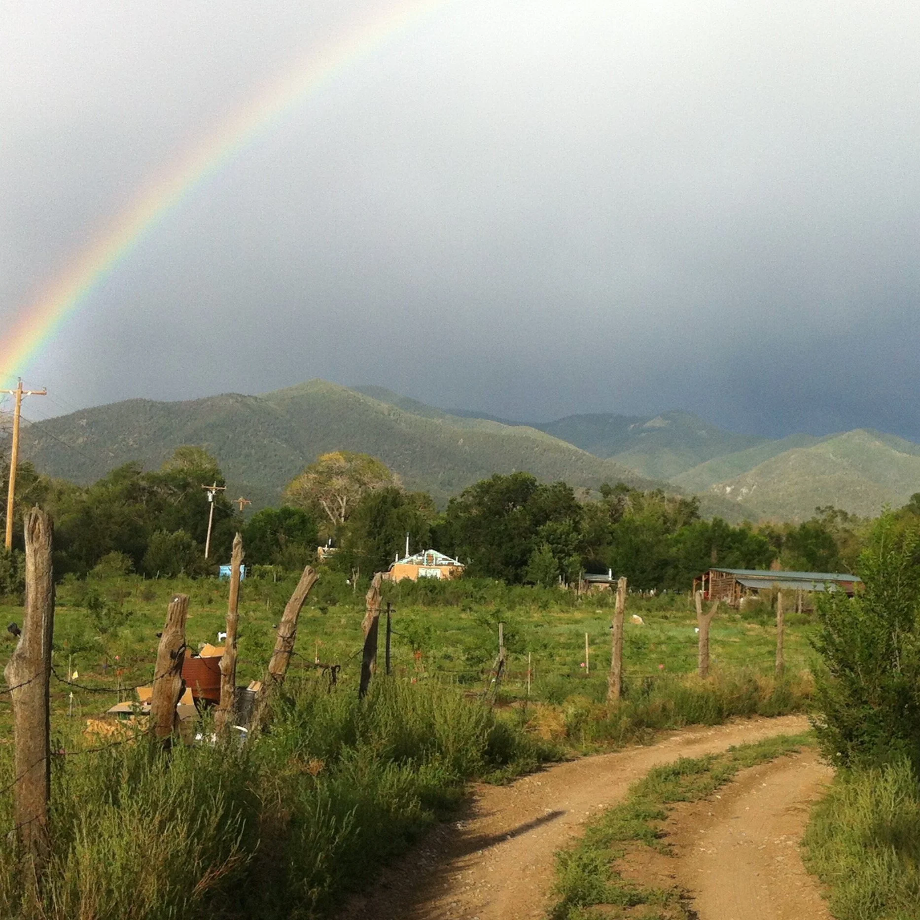 Life at Taos Goji Farm