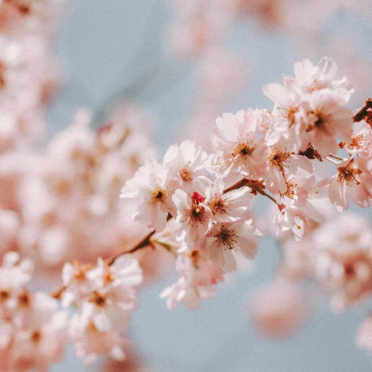 unsplash-image-TXK8kdoqFUM.jpg