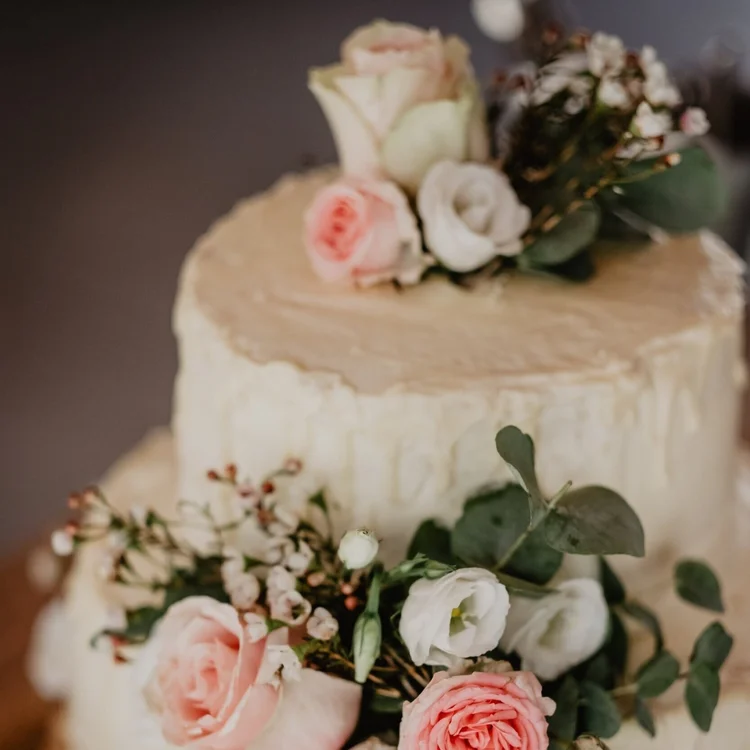unsplash-image-BJCGBTv6xQk.jpg