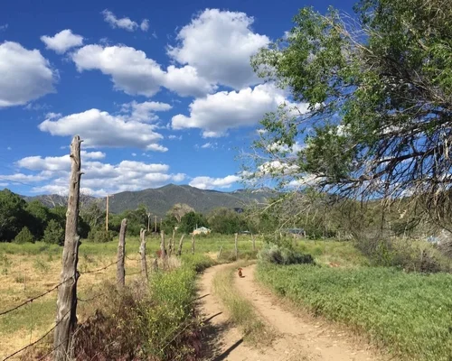 Farm scene at Taos Goji
