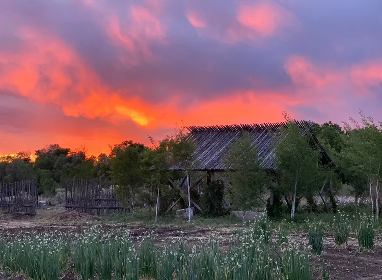 Event at Taos Goji