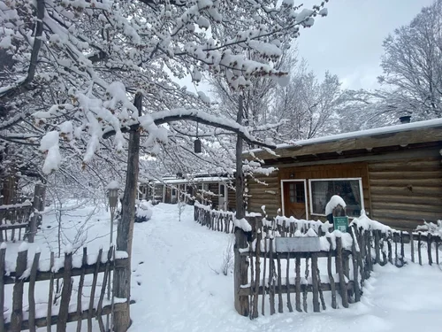 Historic Frieda's Cabin photo