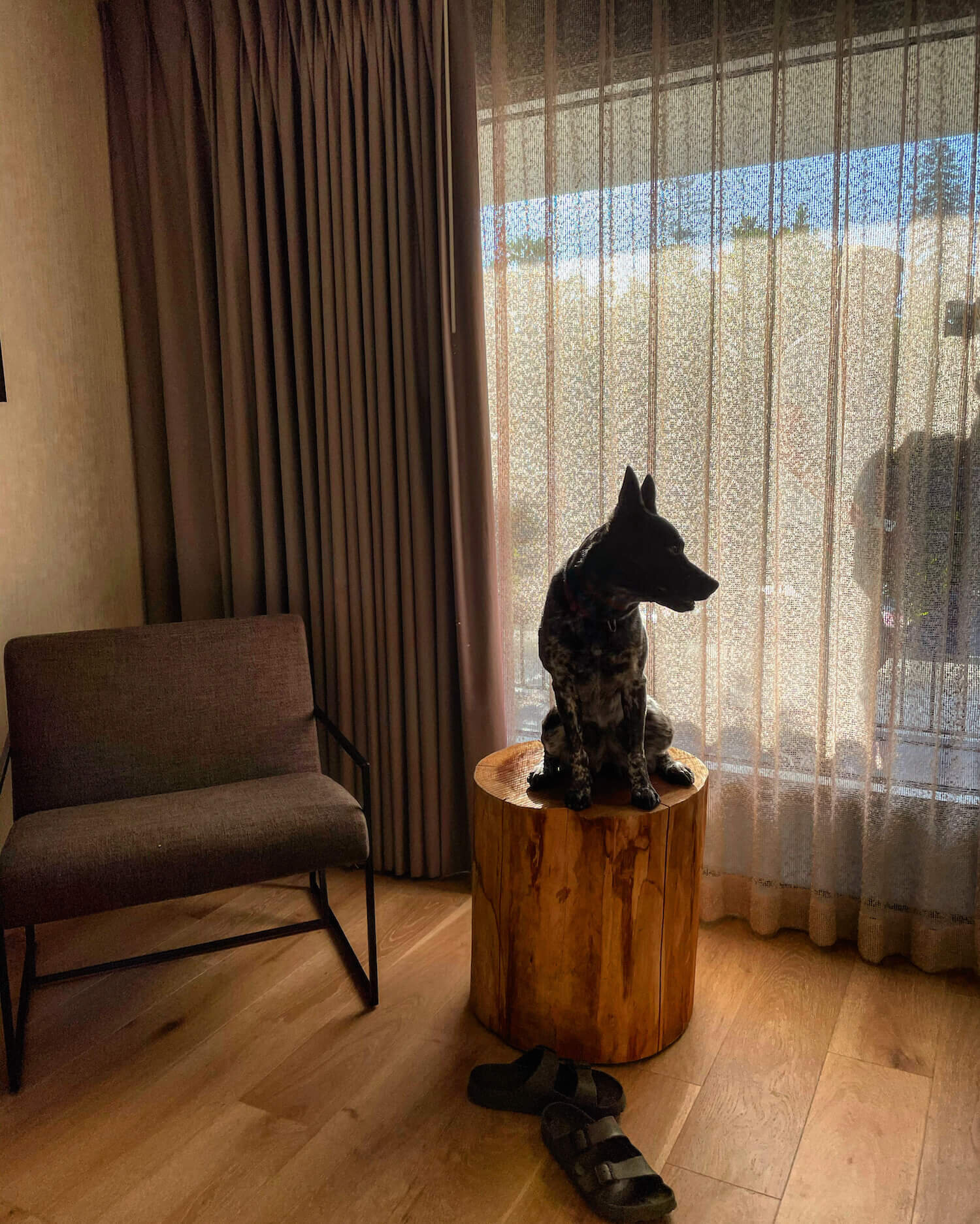 Hotel Paradox