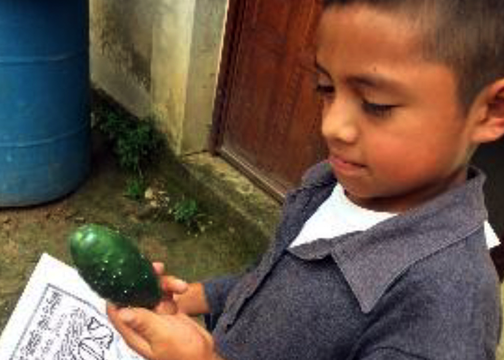 oaxaca_farmer_cucumber.png