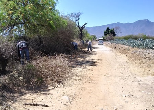 oaxaca_road work.png
