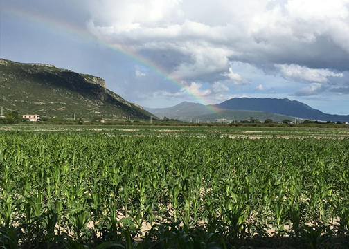 oaxaca_mountain.png