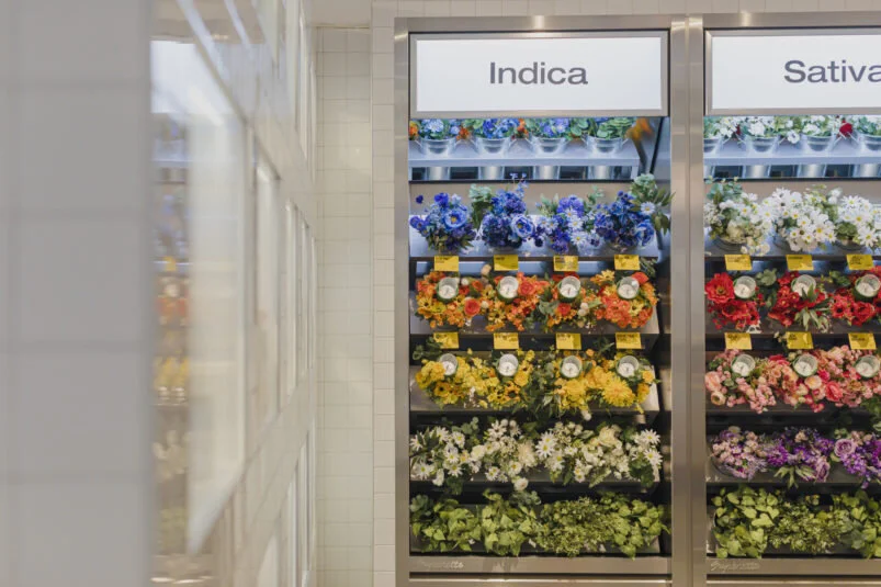 The Best Cannabis Retail Experience at Superette